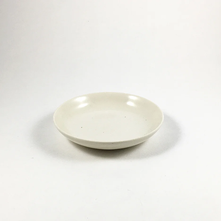 TC MD DISH 2.jpg