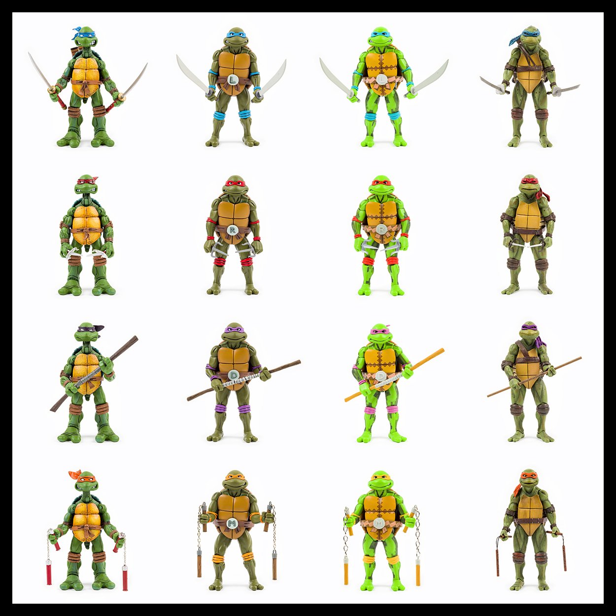 The Evolution of the Turtle.jpg