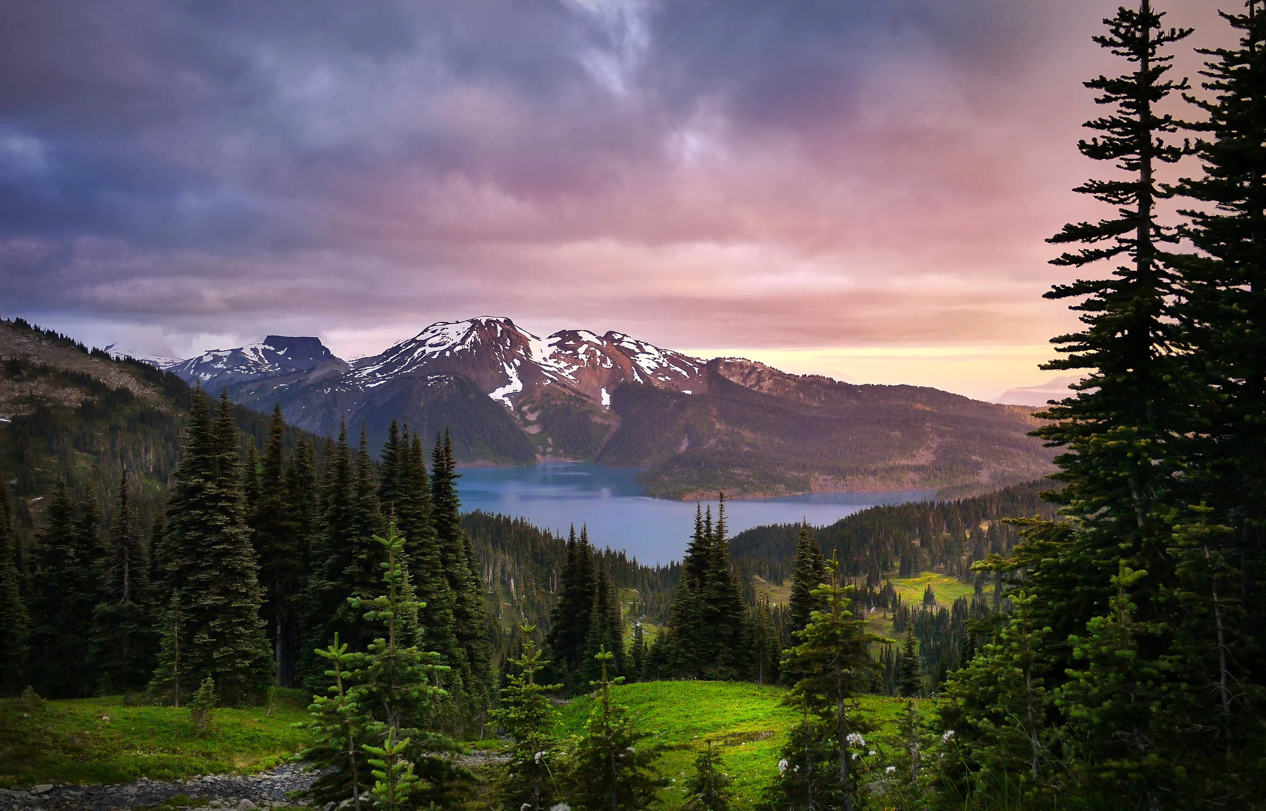 AdobeStock_439237714.jpeg
