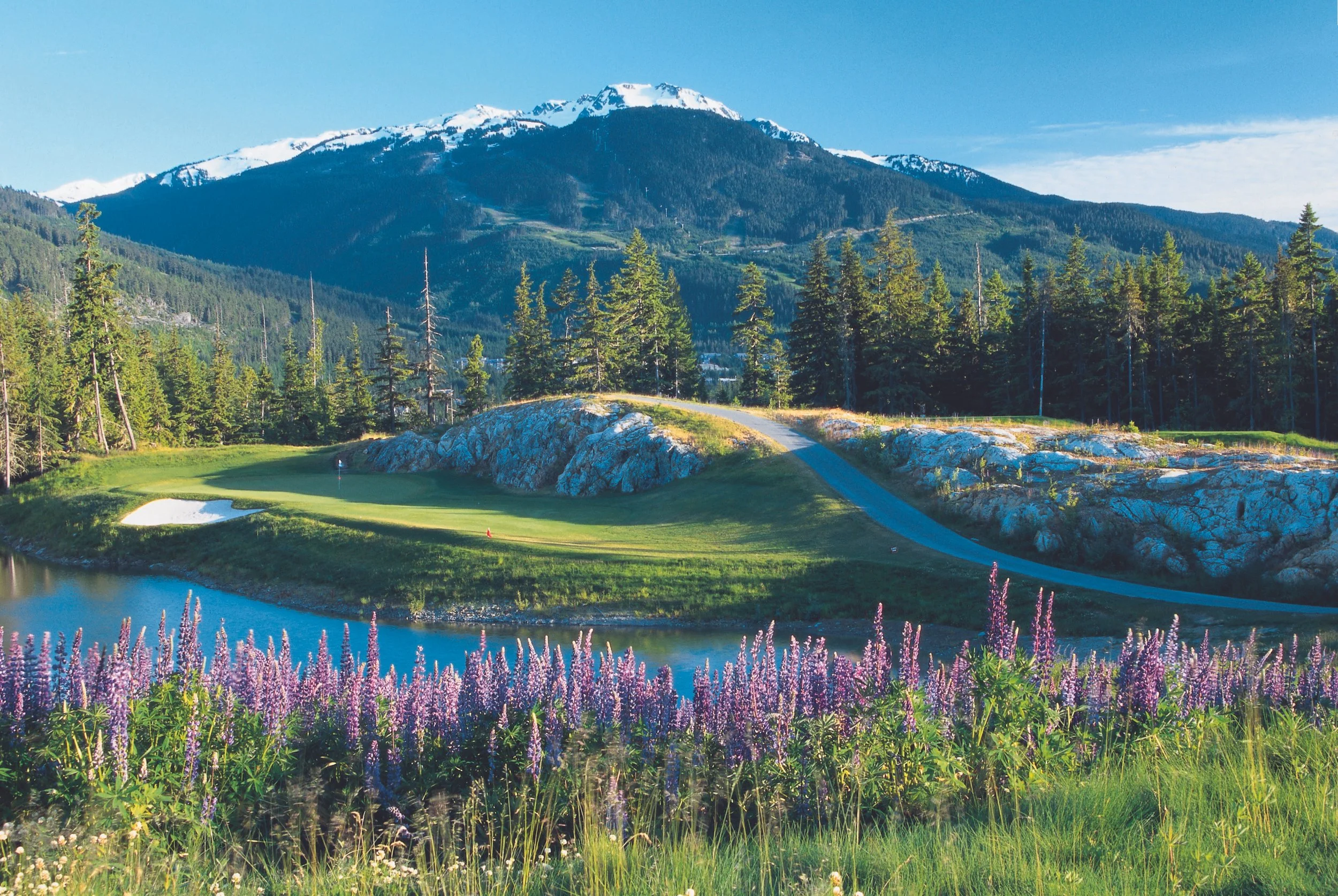 Chateau Signature hole.jpg