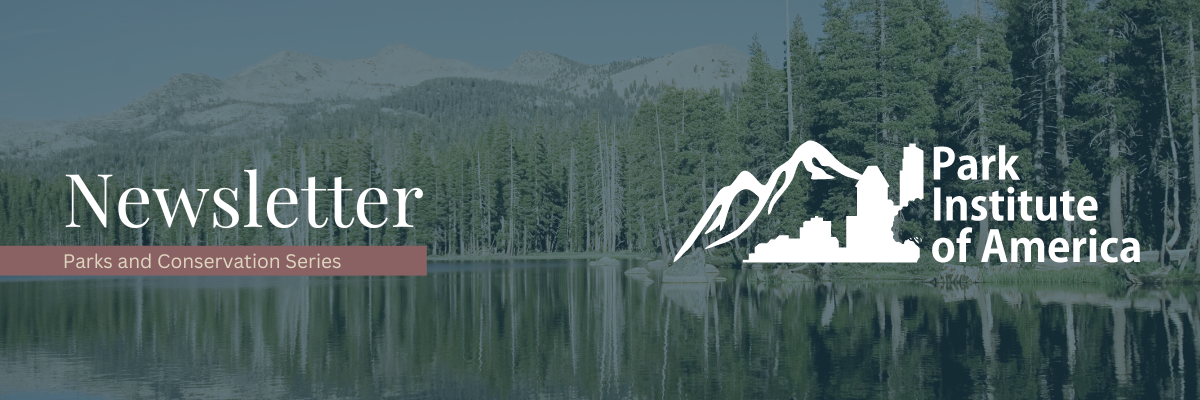 Launching our newsletter series