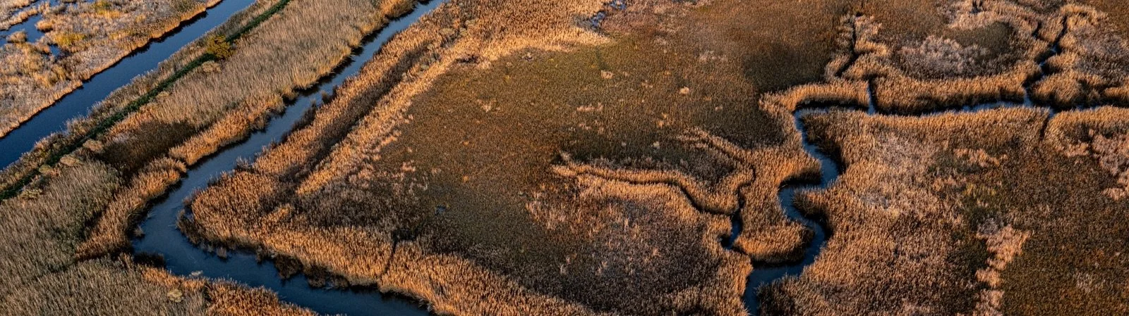 2025_11_19_Drone Santee Delta Basin_0039 2.jpg