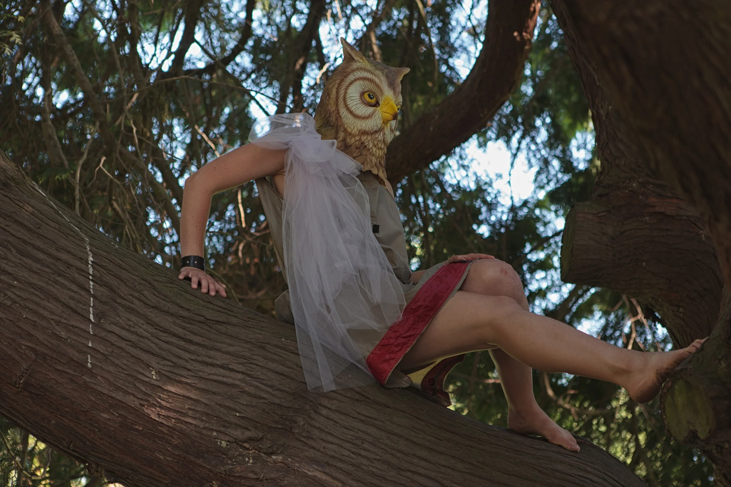 "When the owl sings, the night is silent." Charles de Leusse