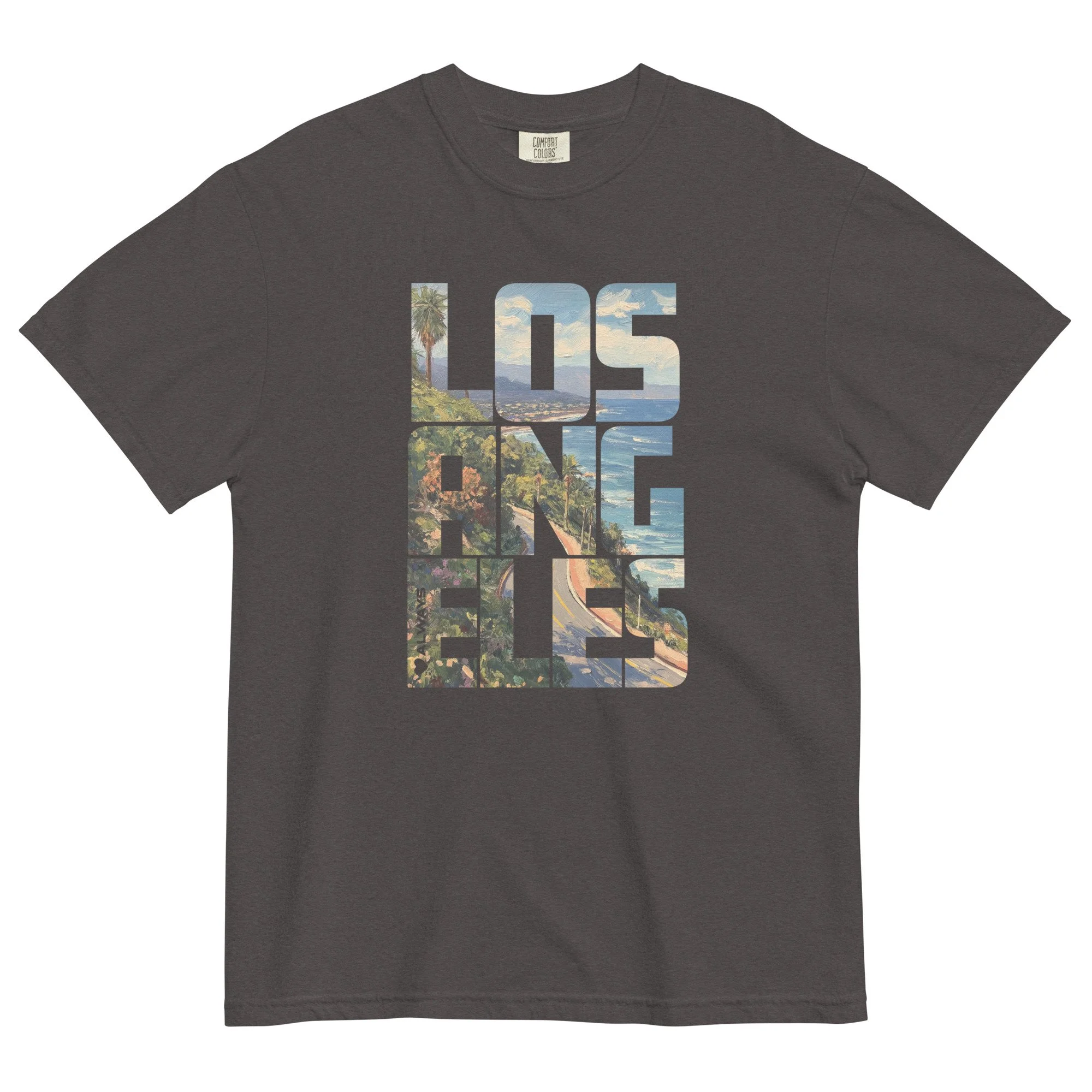 unisex-garment-dyed-heavyweight-t-shirt-graphite-front-67b38acebf10e.jpg