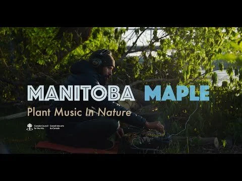 Shane Mendonsa Plant Music: Cinematography