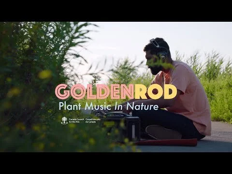 Shane Mendonsa Plant Music: Cinematography