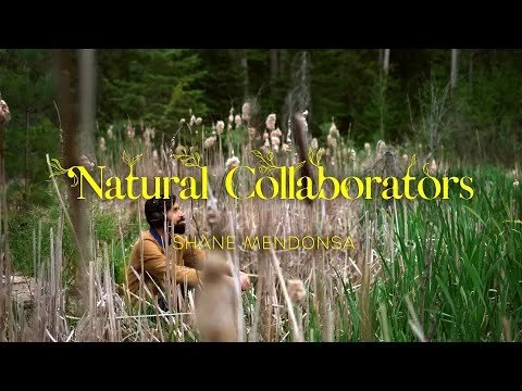 CBC Arts - Natural Collaborators: director, cinematographer, editor