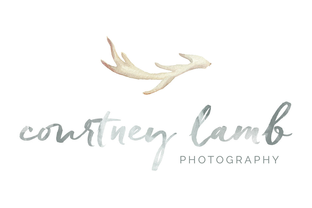 Courtney Lamb Photography