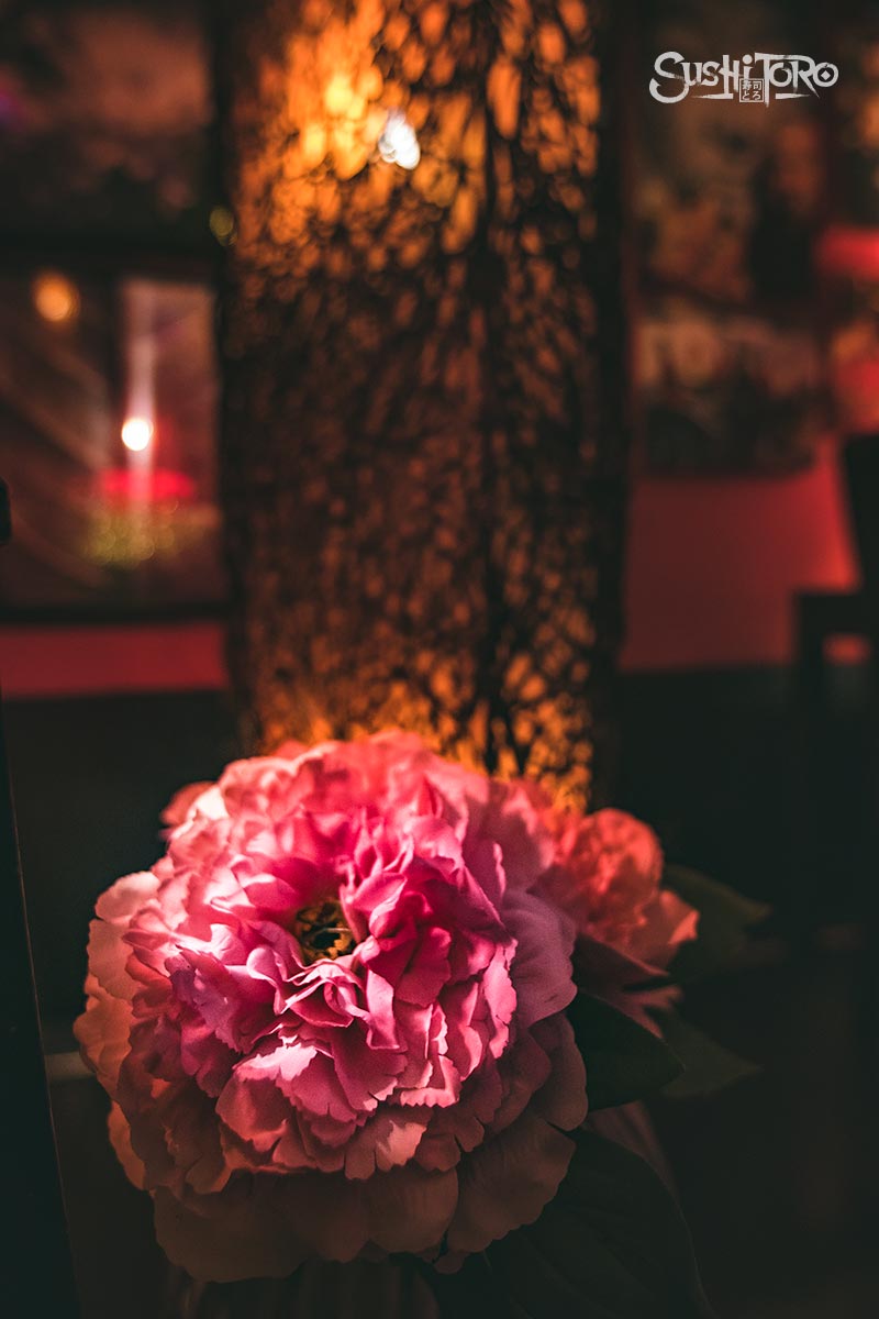 0A4A4414-sushitoro-riviera.jpg