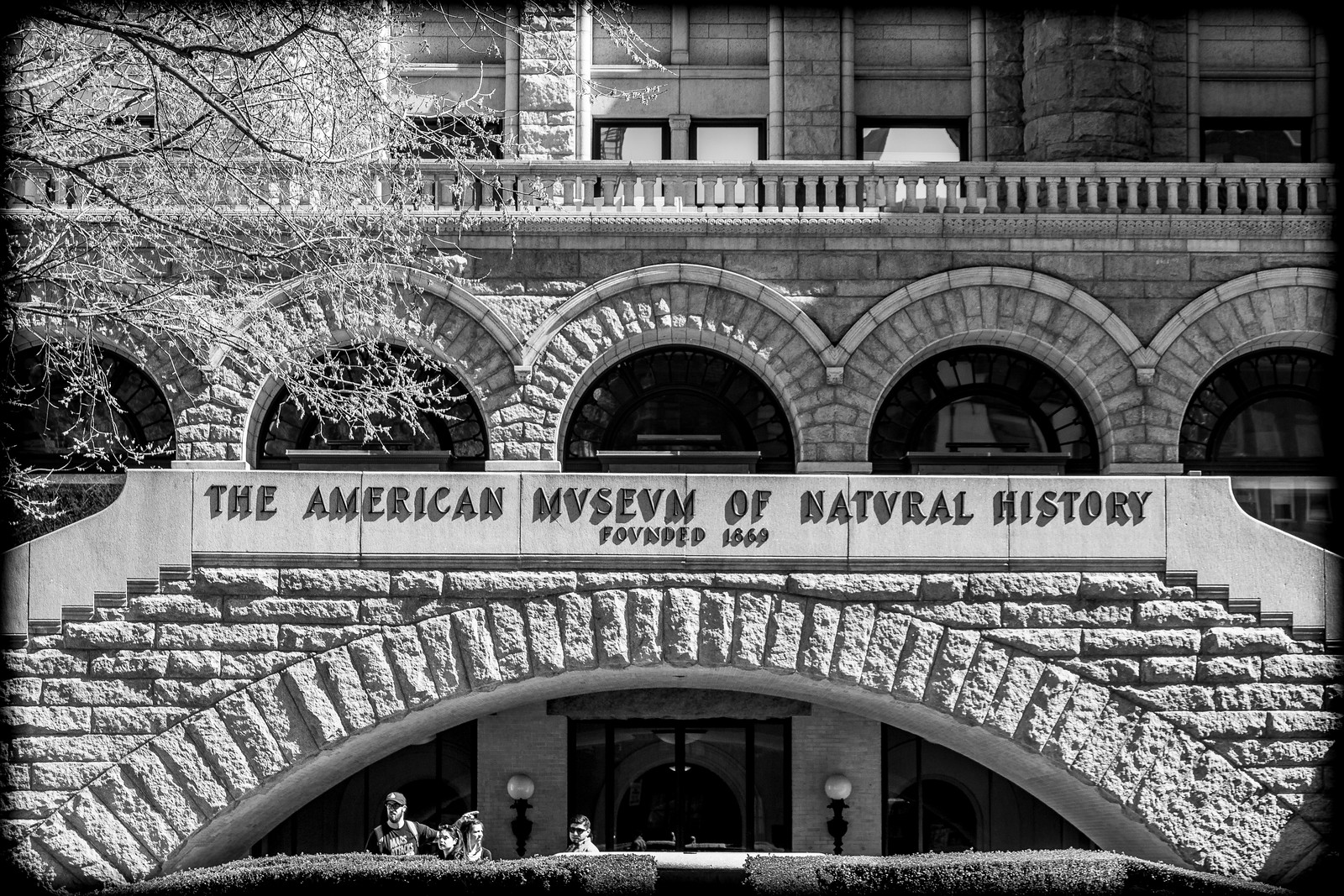 The Americe Museum of Natural History