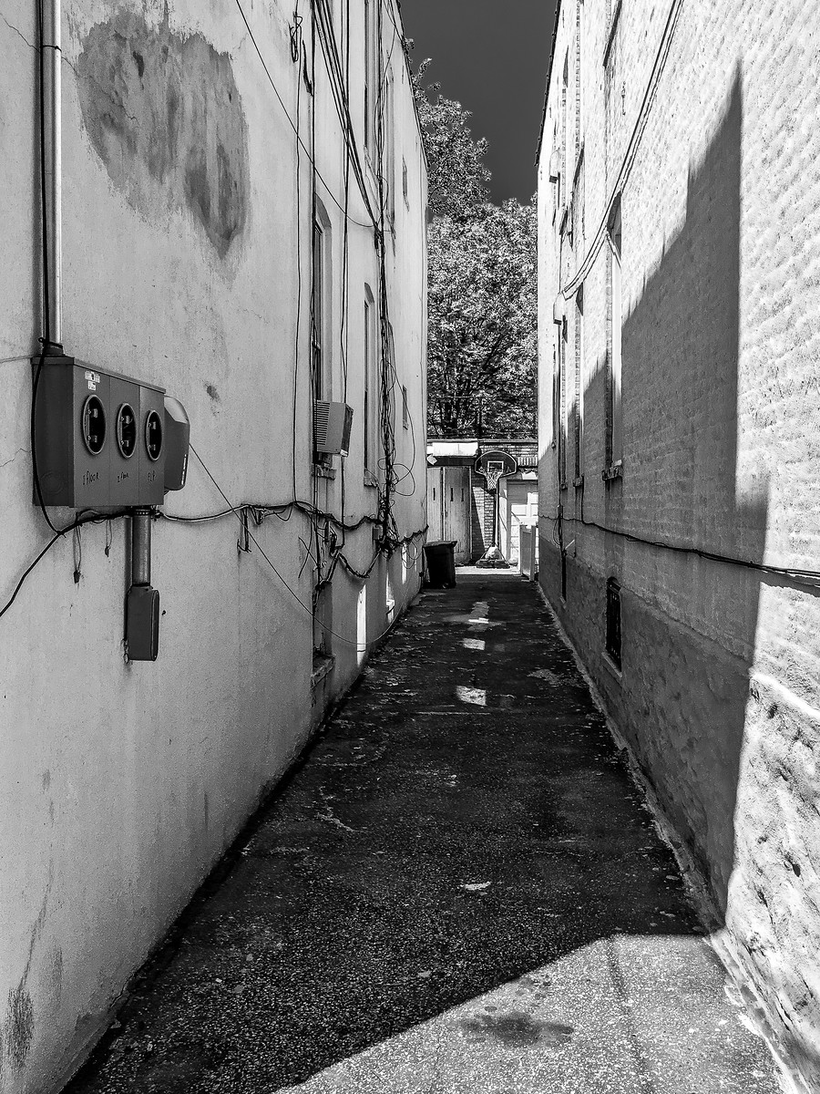 Alley Hoops