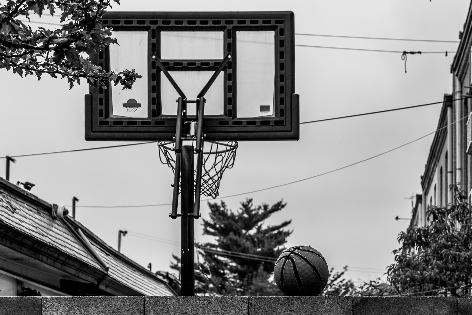 Hoop Dreams