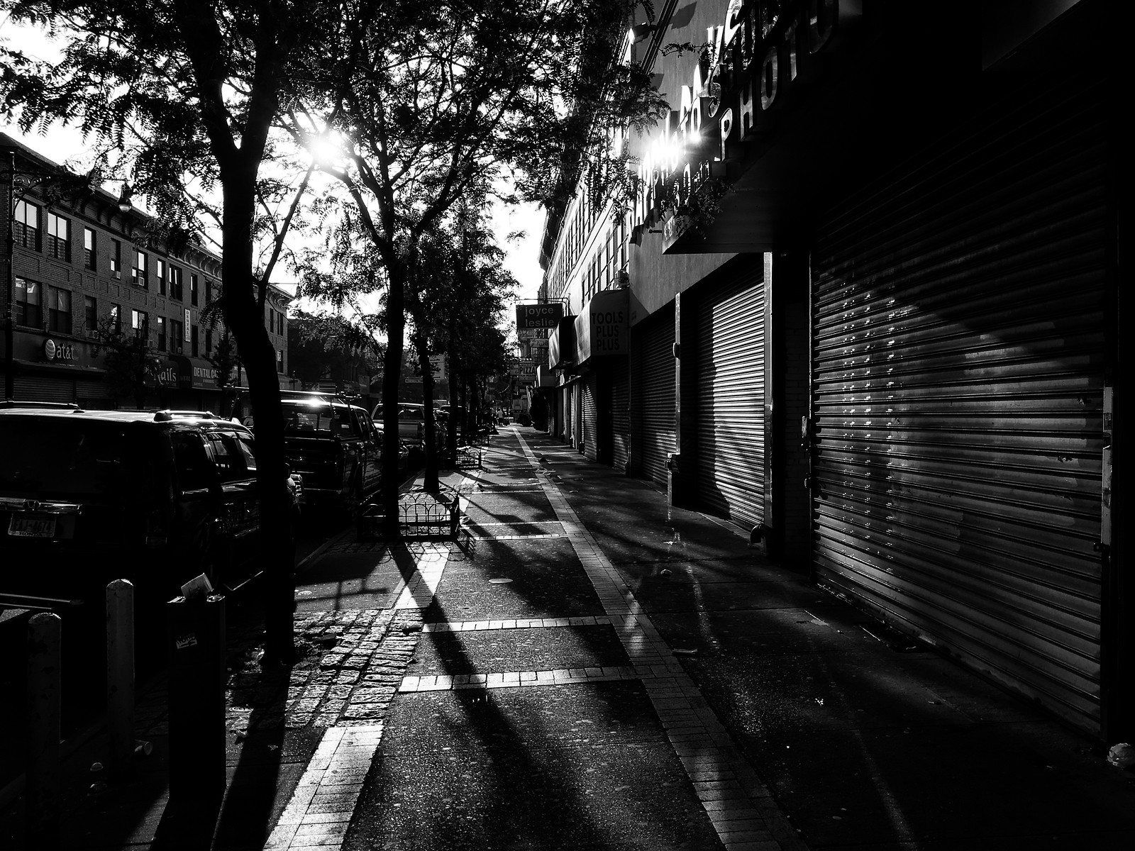 Sunlight and Shadow
