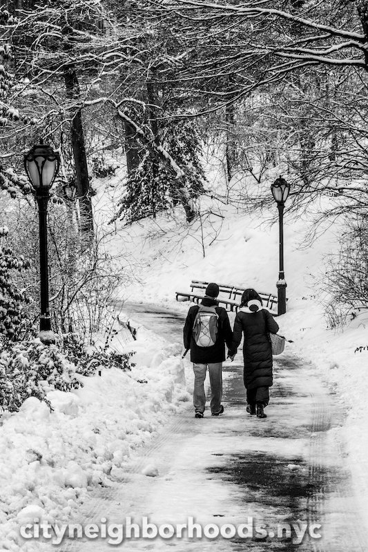 Romantic Winter In The Park