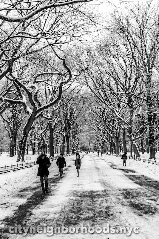 The Mall In Winter