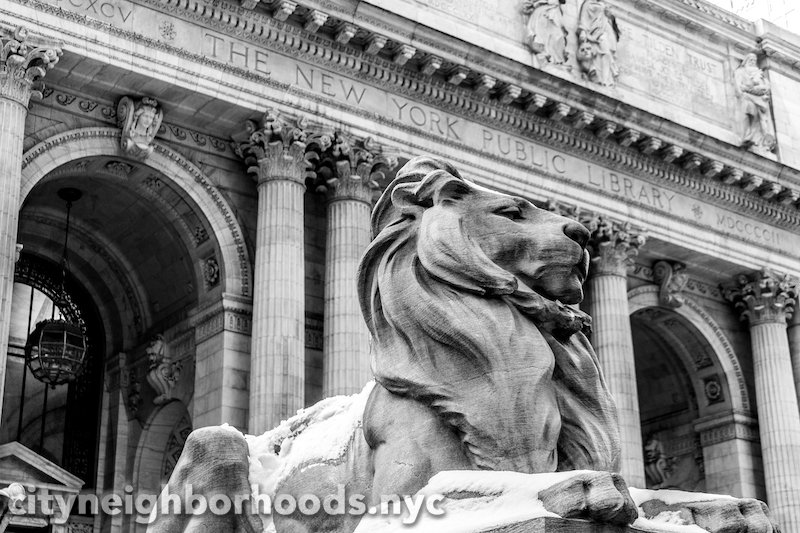 New York Public Library Lion