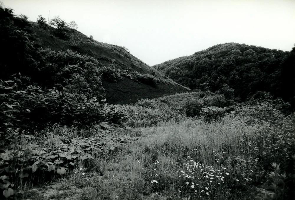 img105.jpg