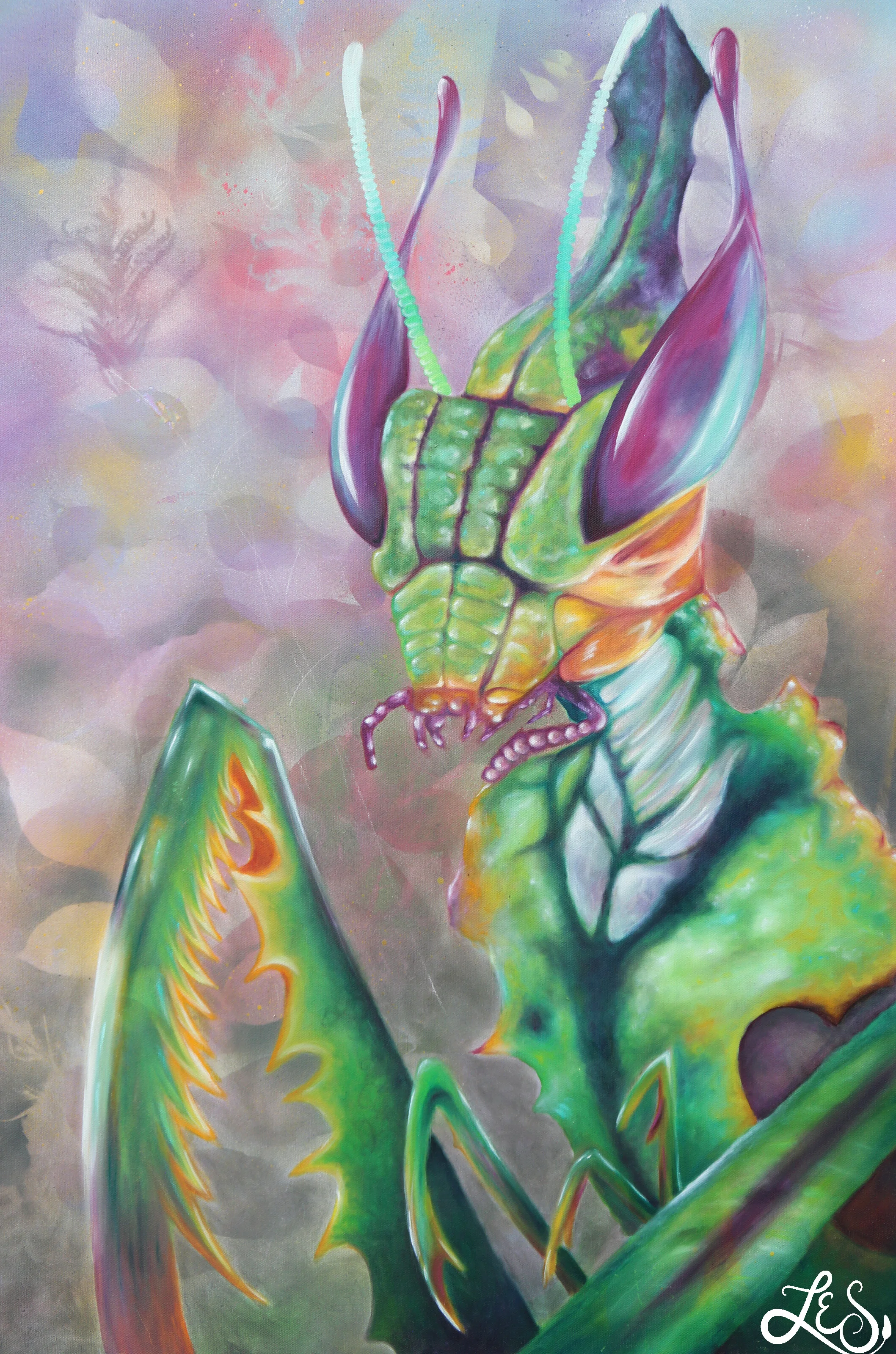 Mantis 16x10.jpg