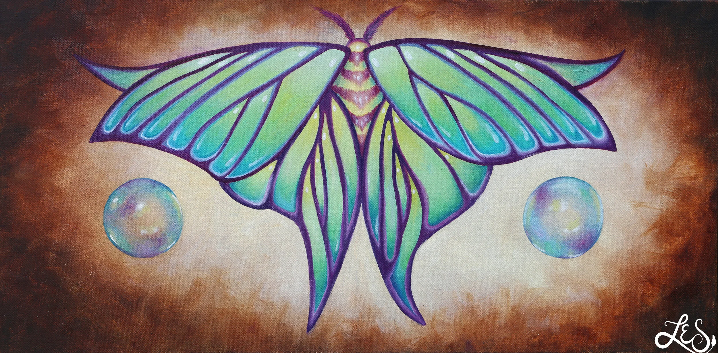 Moth 8x17.jpg