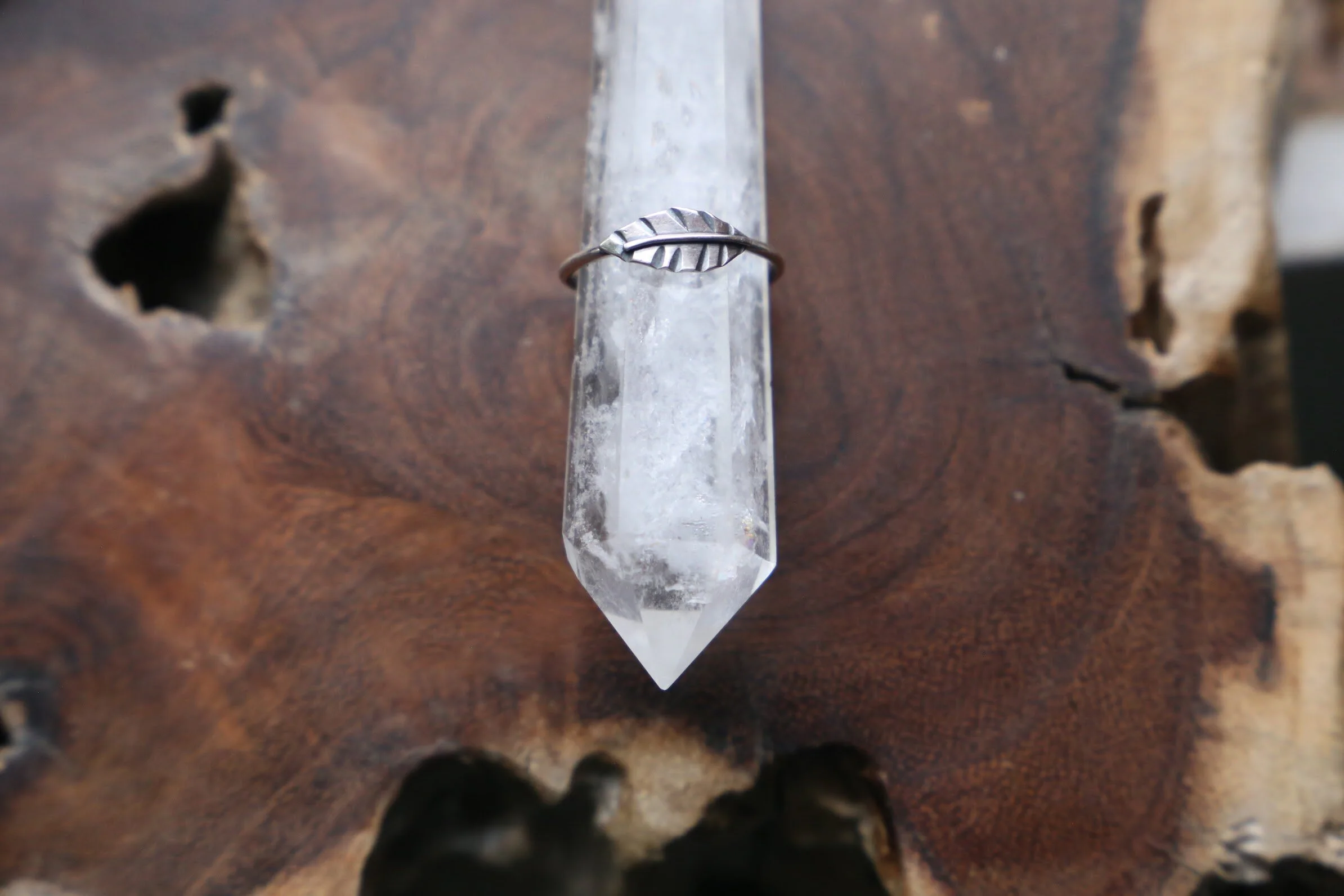 20F94A42-9BED-4043-A637-2ECE315E882E