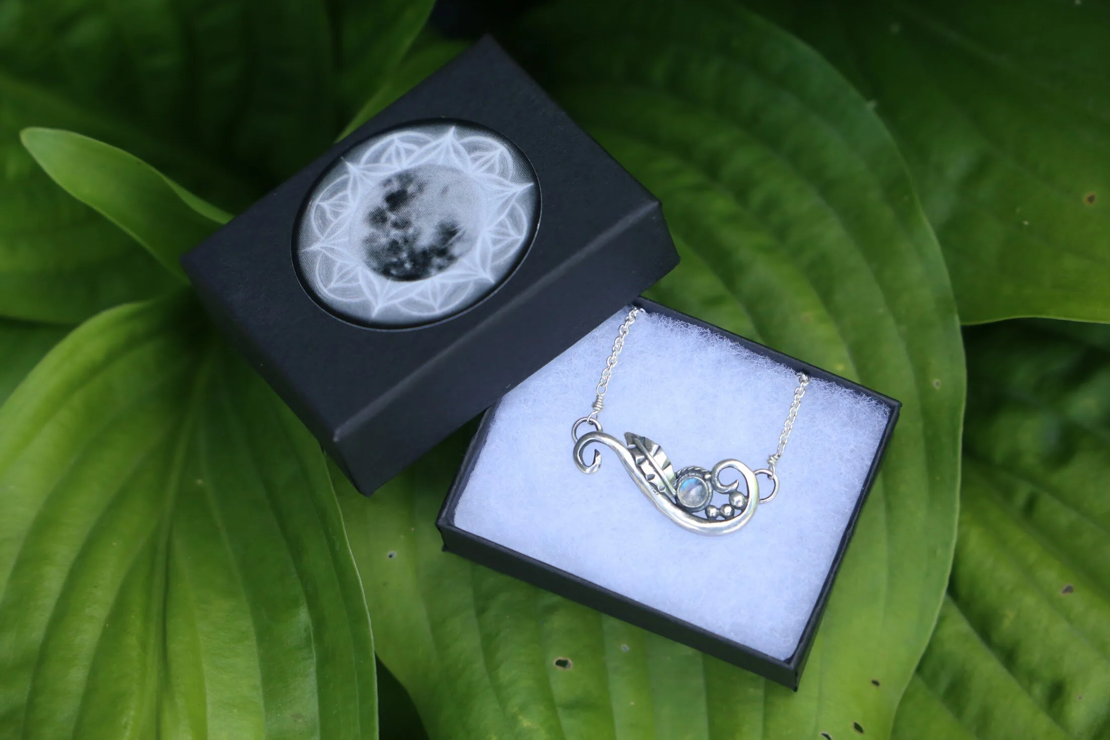 06F23D62-28D7-47F9-BD45-A779B3514A51