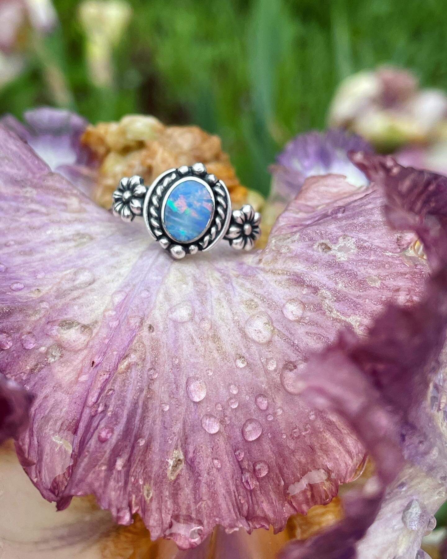 13A9A3F5-58C3-4D39-9C0A-AD4AC313D0DC