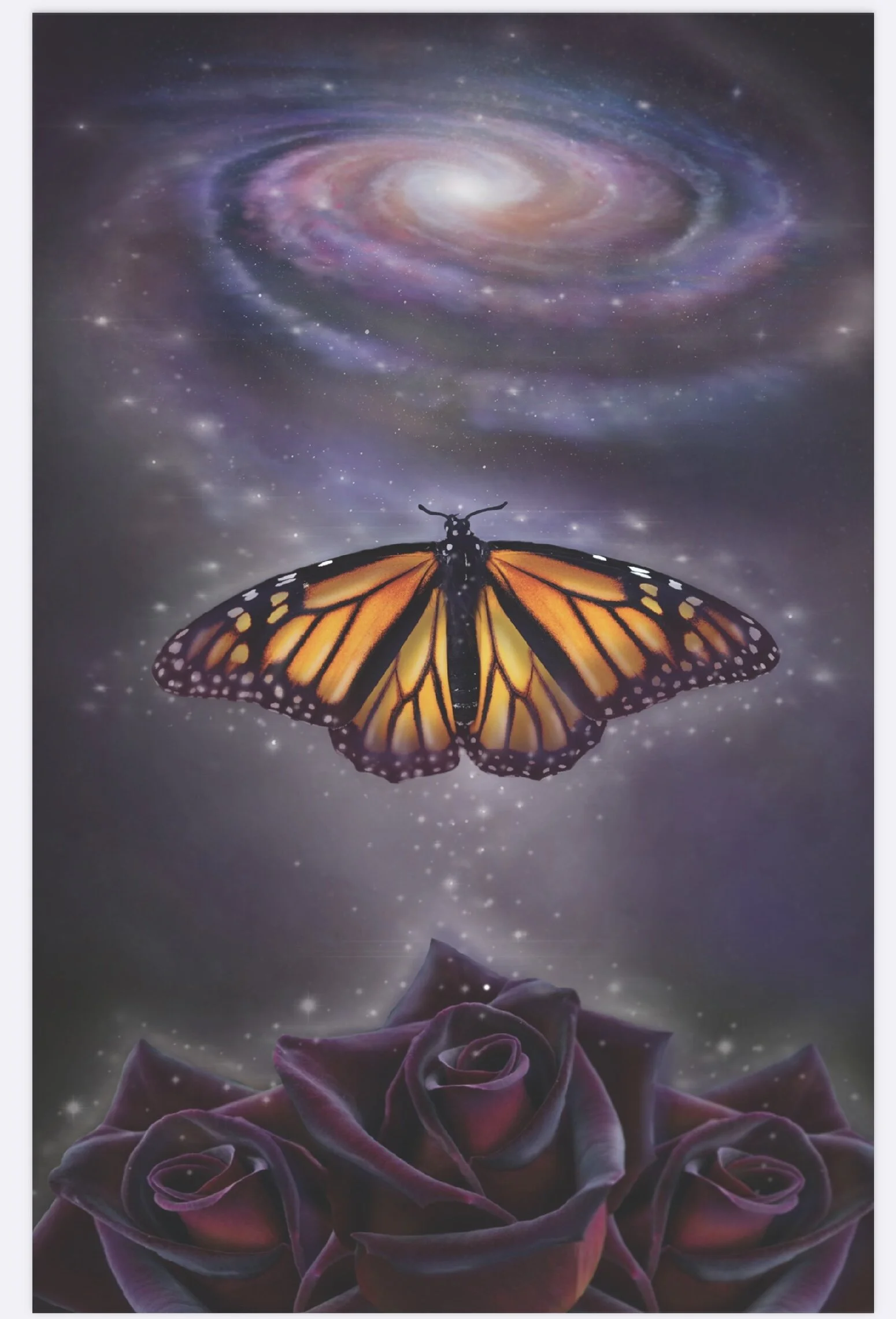 5ABBA0C6-040D-4990-9BA2-5D379981CB81