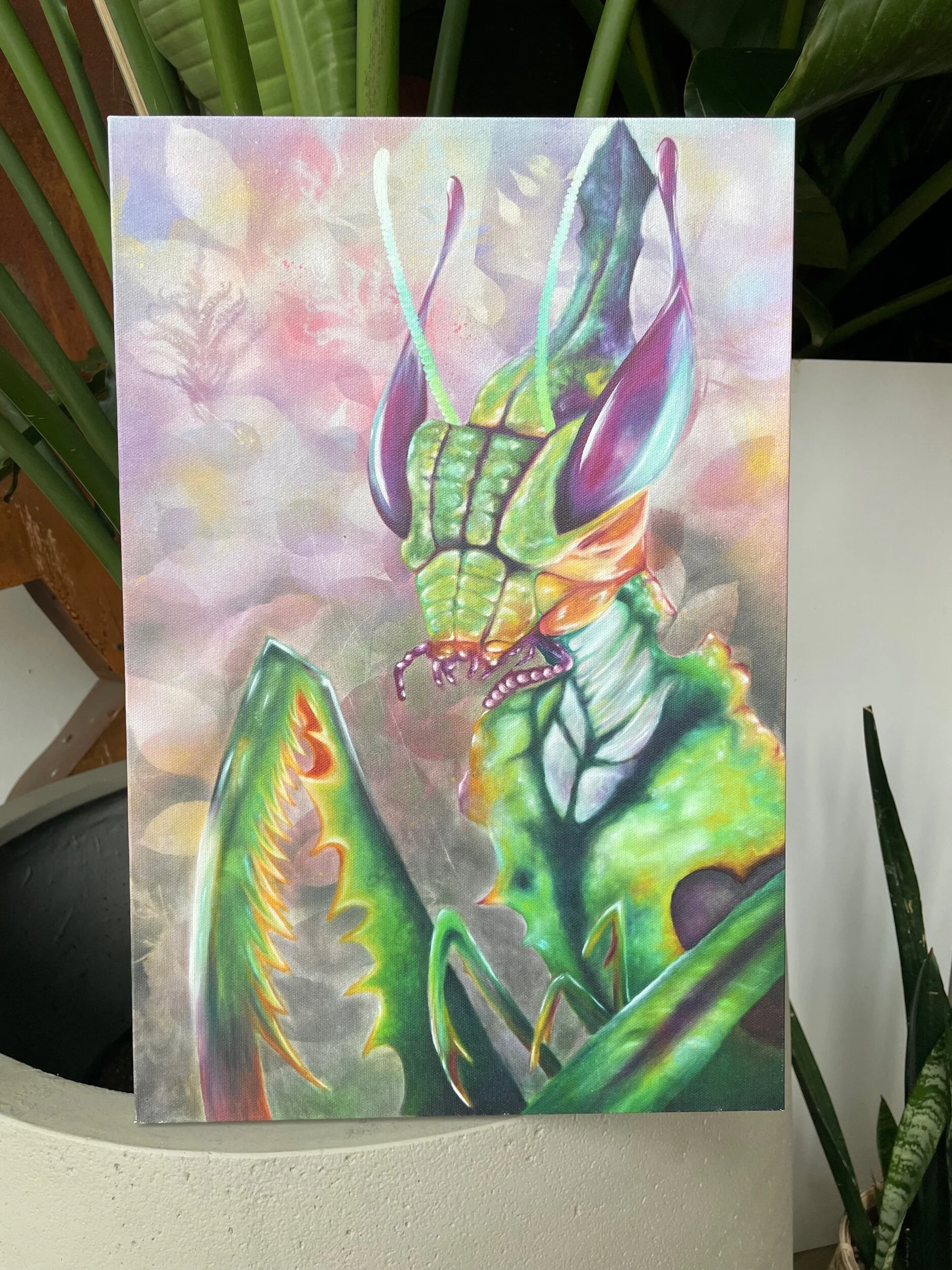 CF21E716-41AF-4FC2-98C2-F620695A68E4