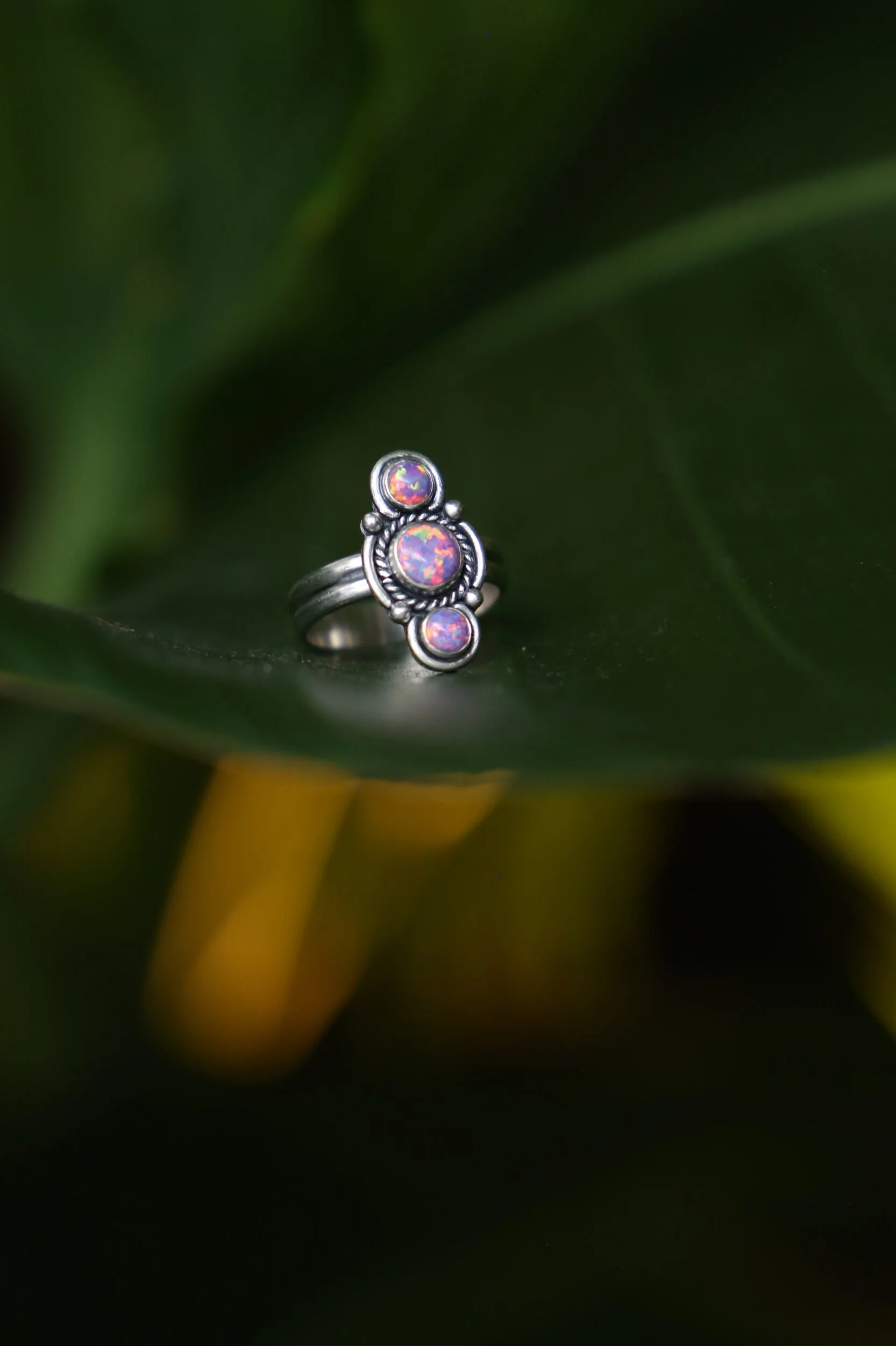 AE8FEC20-AADB-4A5A-AE7F-291408EC23C5