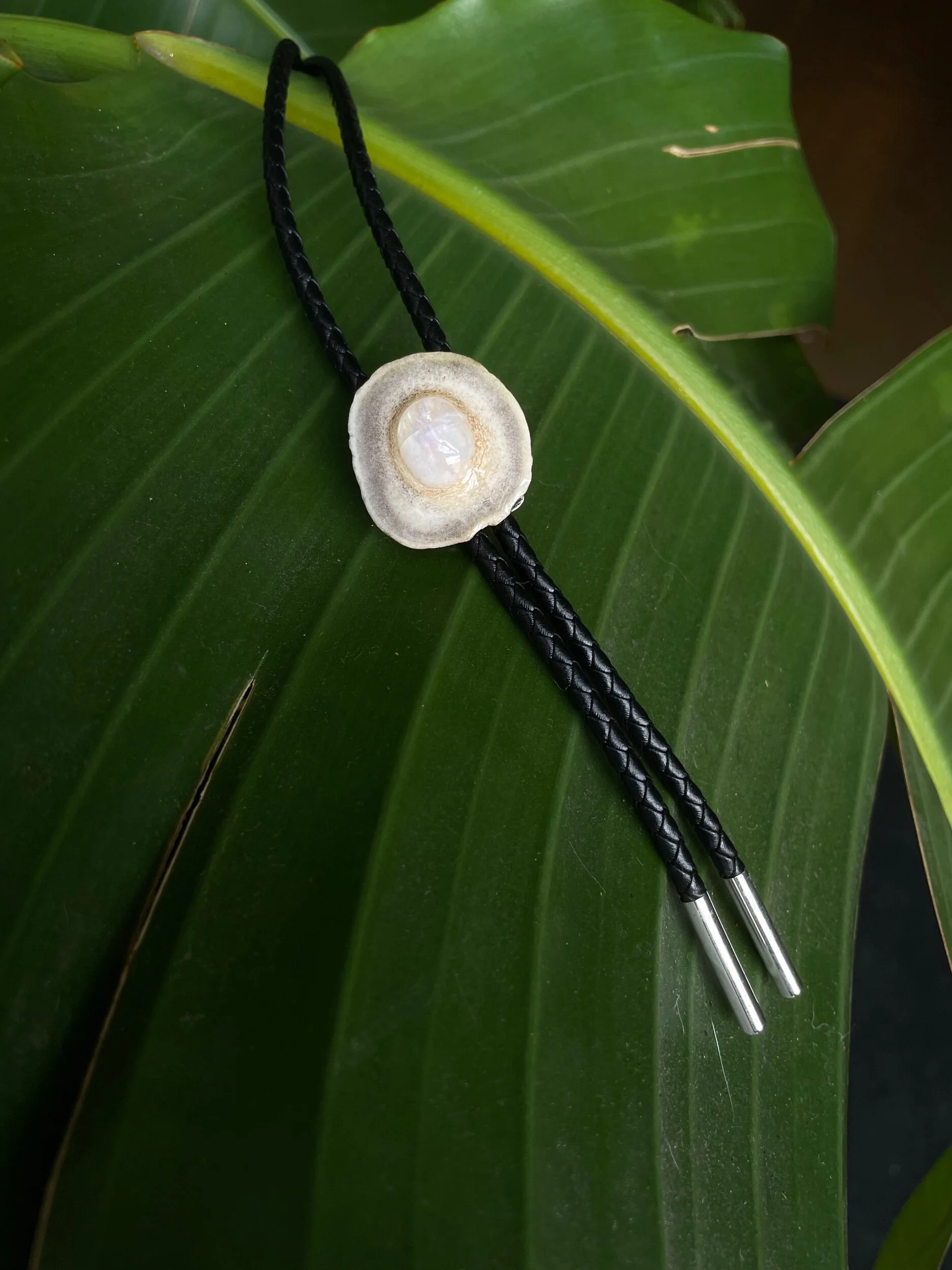 668F71B2-73D1-4EFA-BC57-58E260F90C07