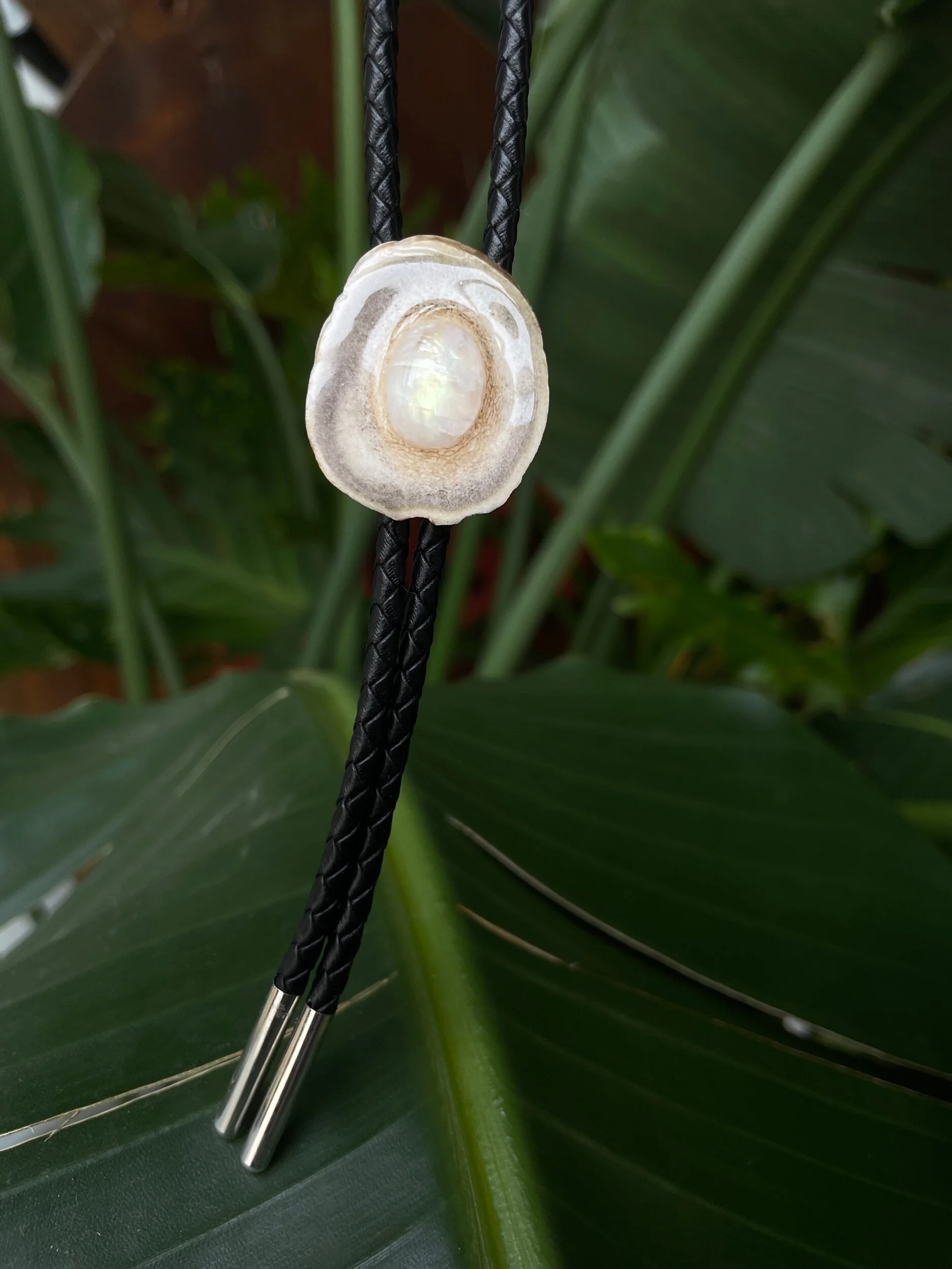 F03A1B51-7F49-4F42-8188-E4A632FD9A65