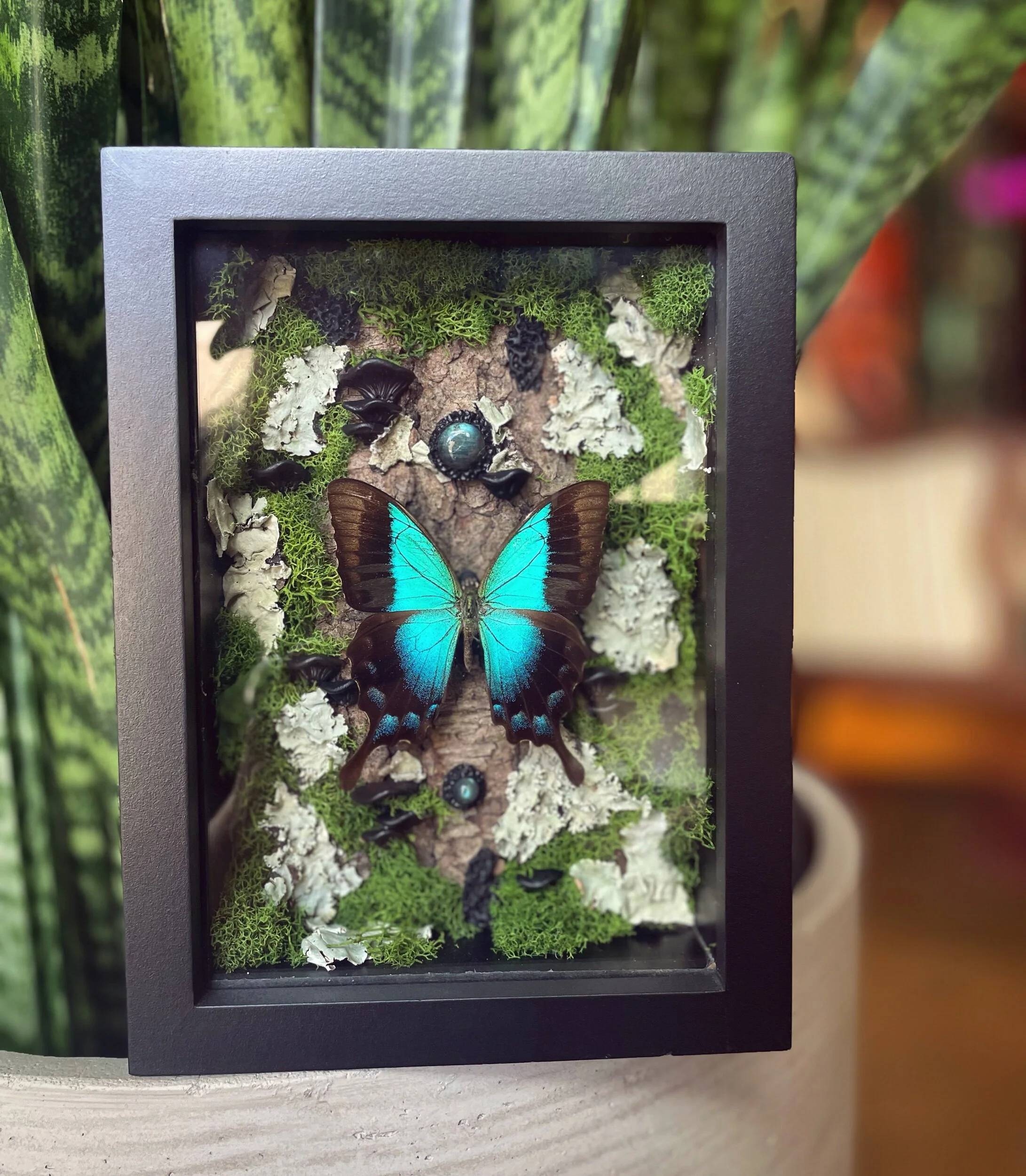 B5089CCC-1E8B-40BA-8EBF-EF40DE53A0D2