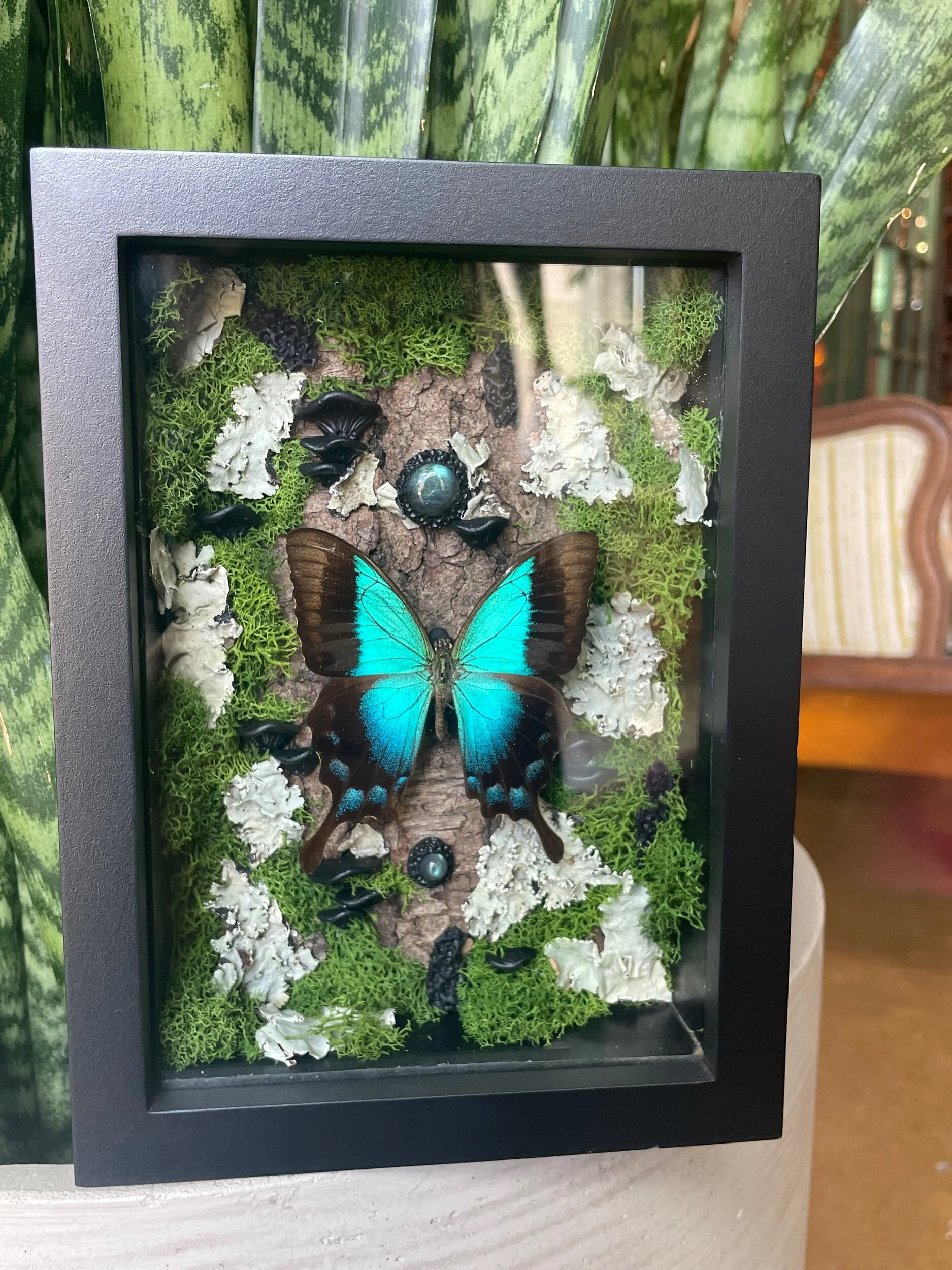 30EE62AB-1247-469C-9B6C-A5839E0455A2