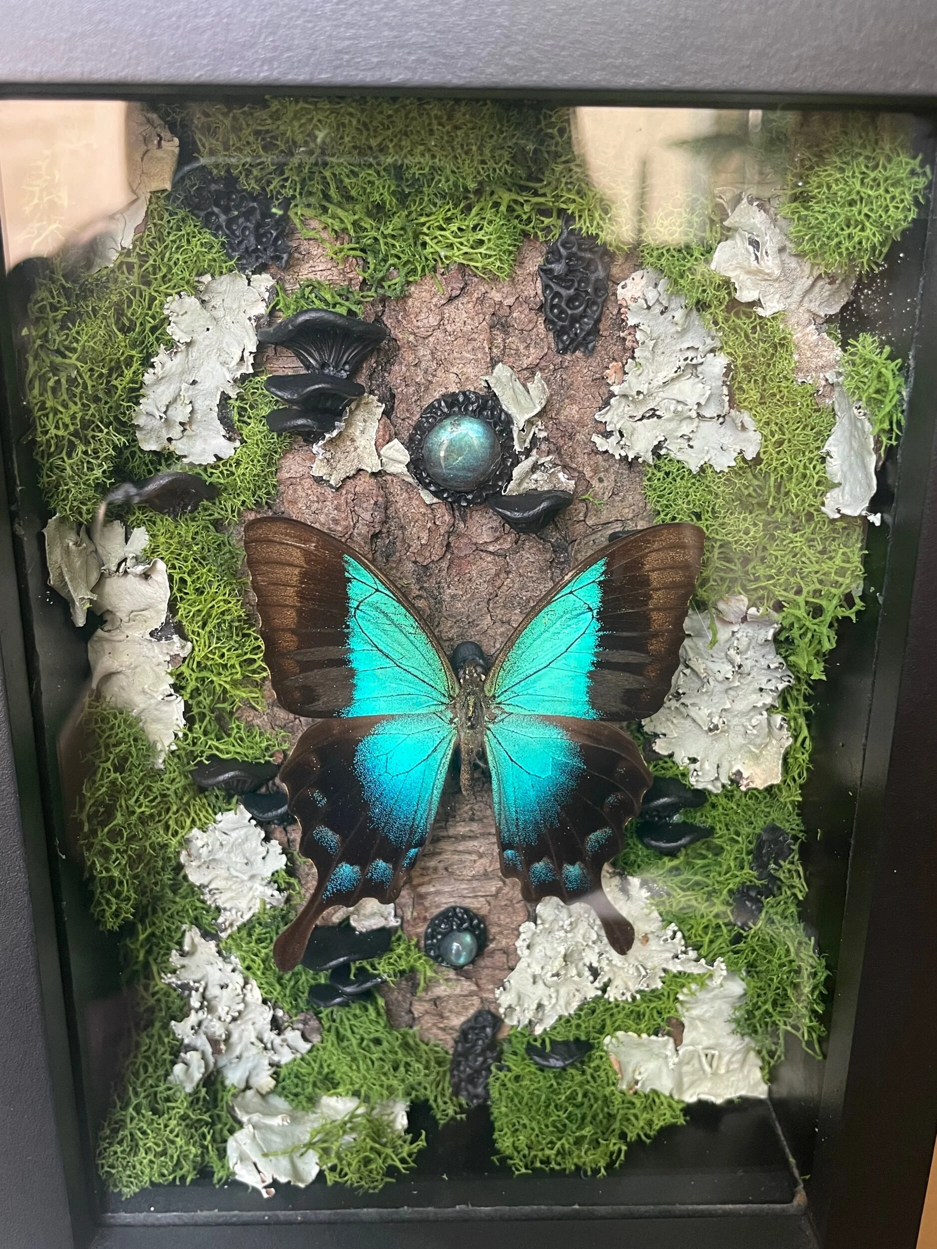 CDCF10F6-5F6B-40ED-A698-67B00BC32B7E