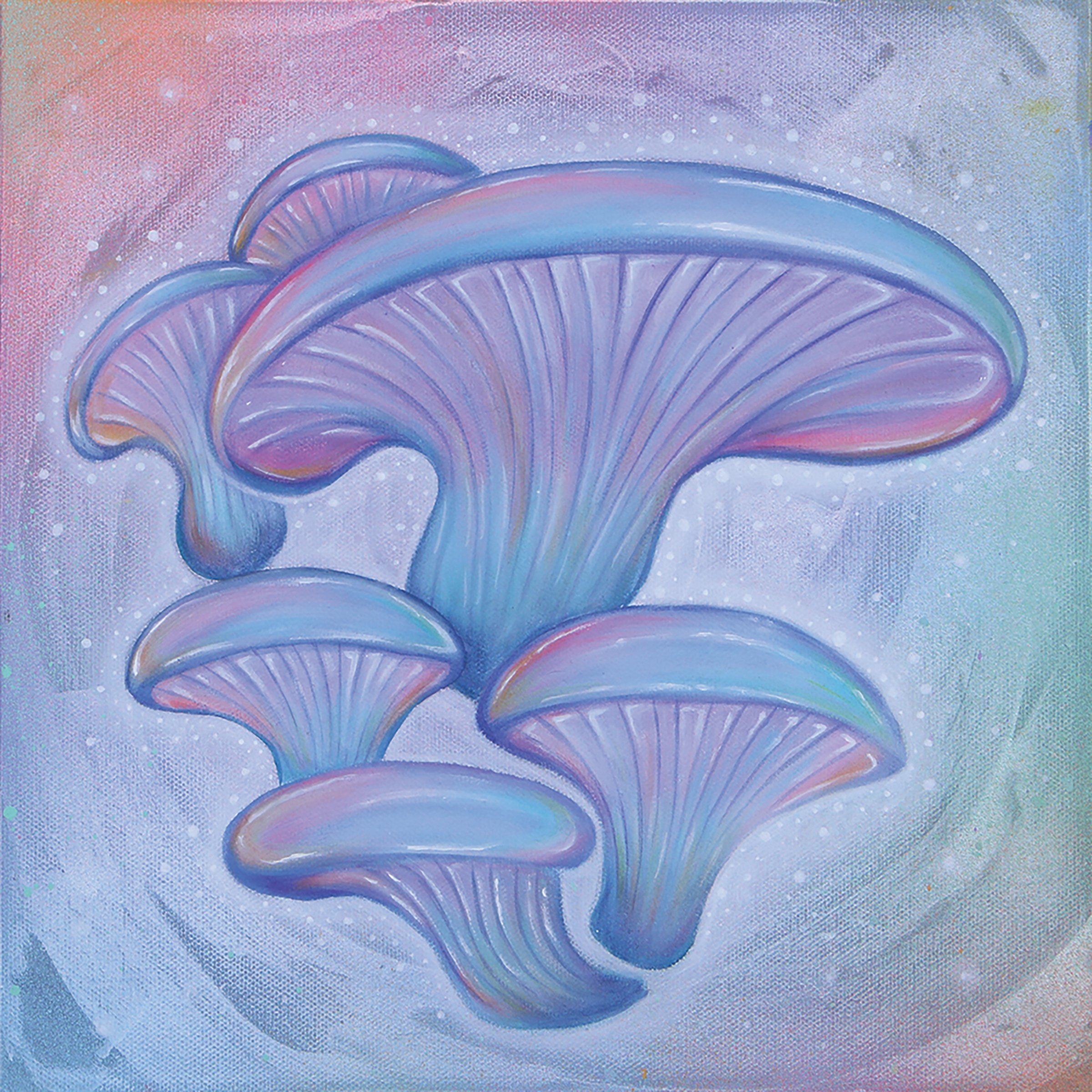 OO 12 x 12.jpg