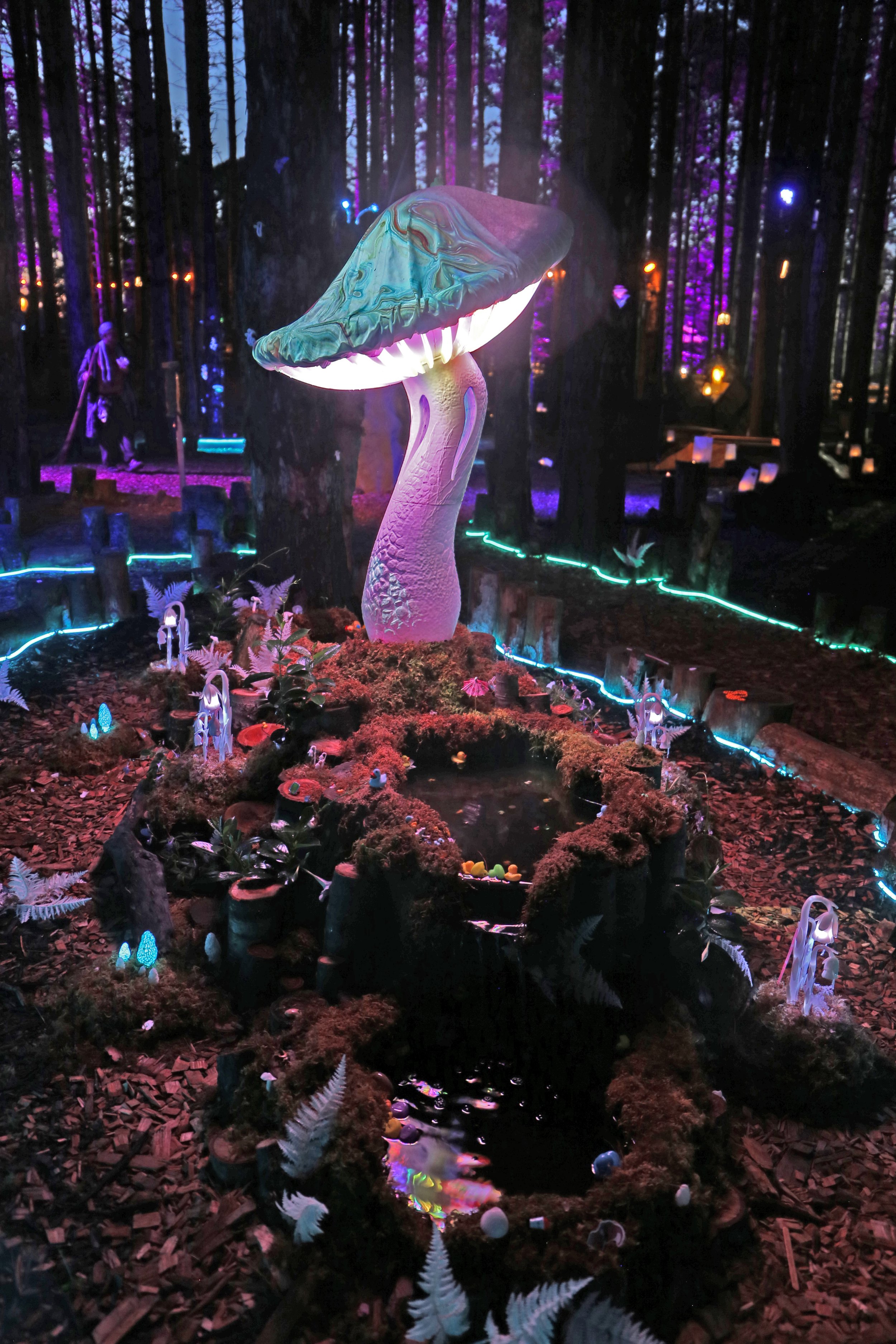 IMG_2378.jpg