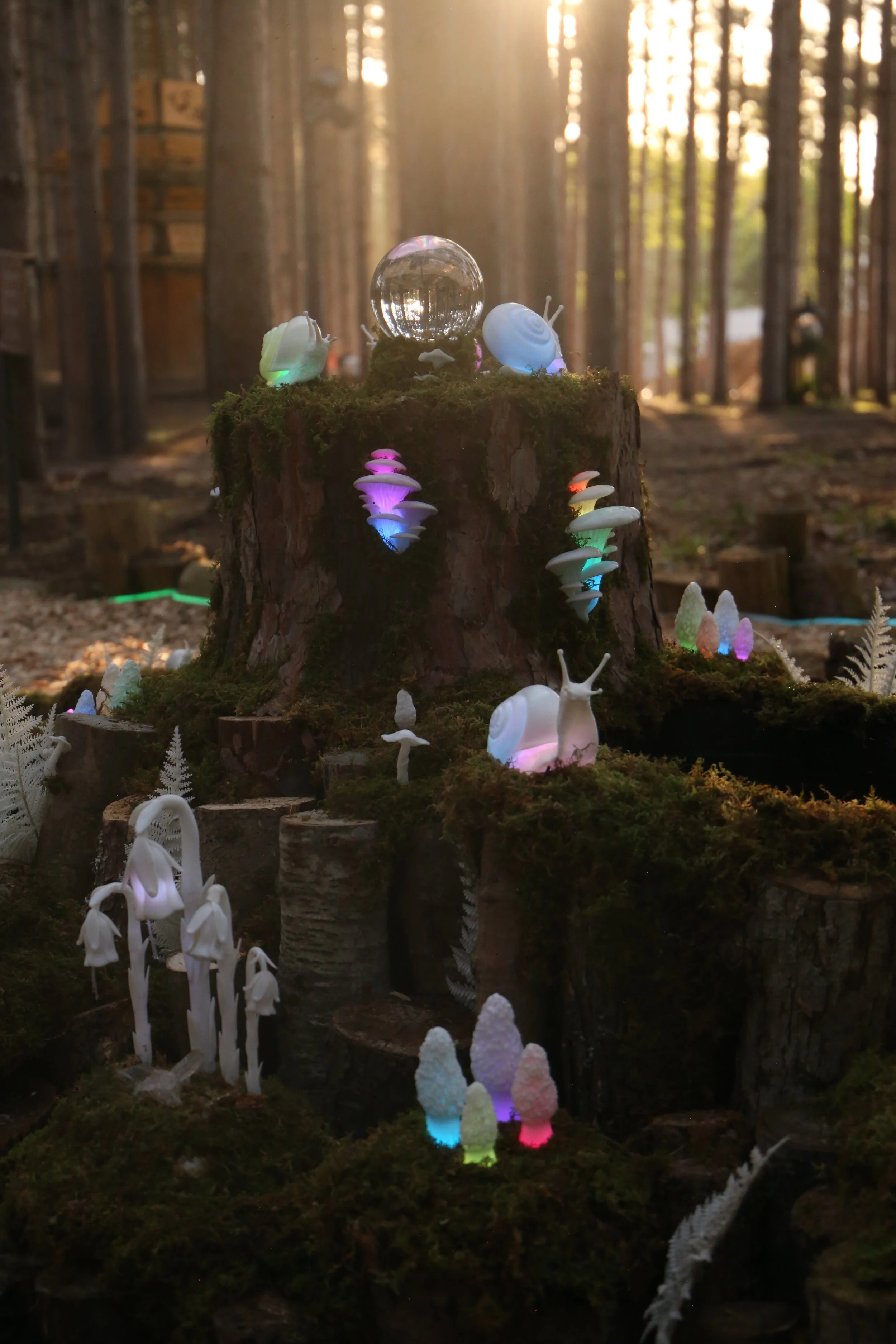 pond2.jpg