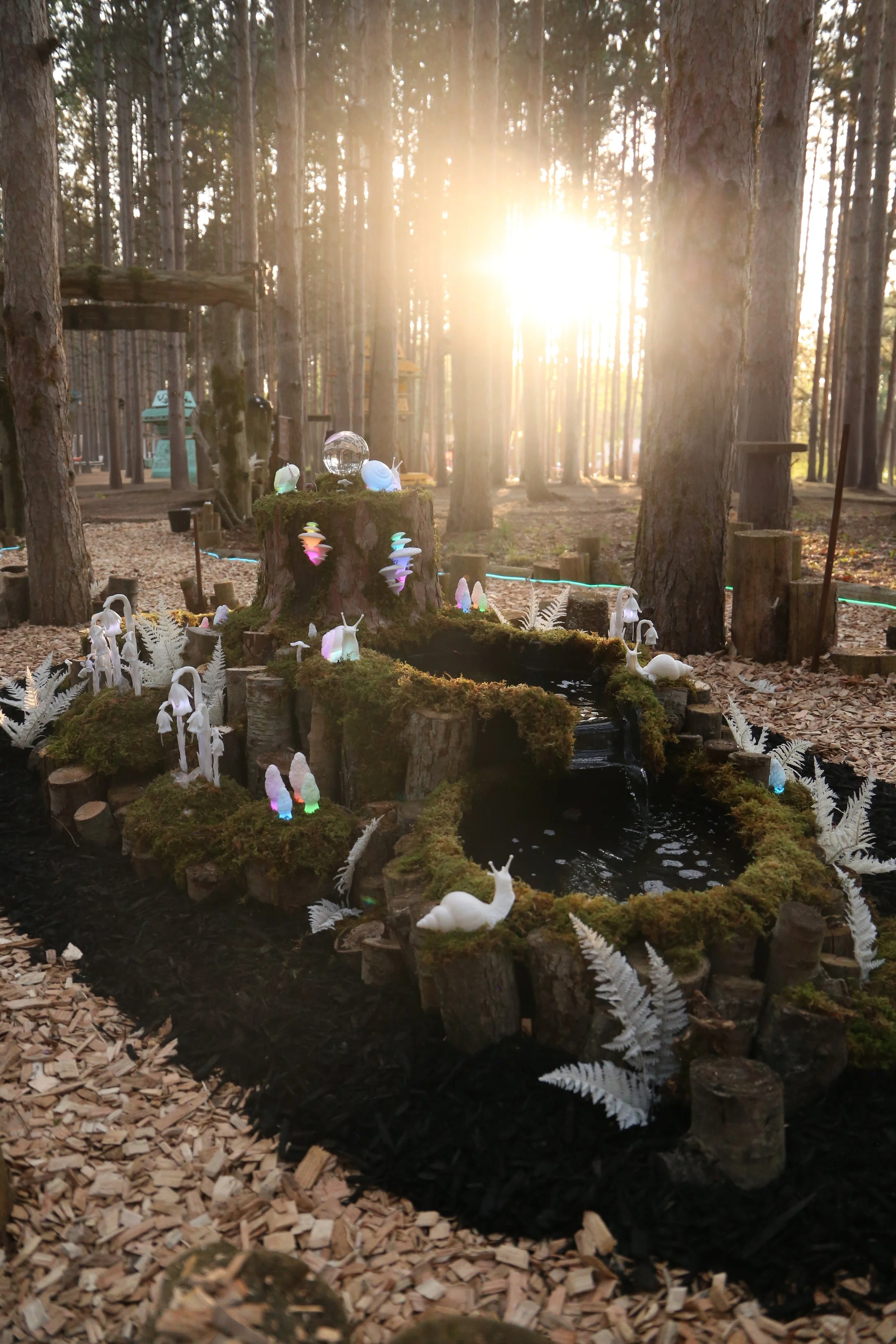 pond1.jpg