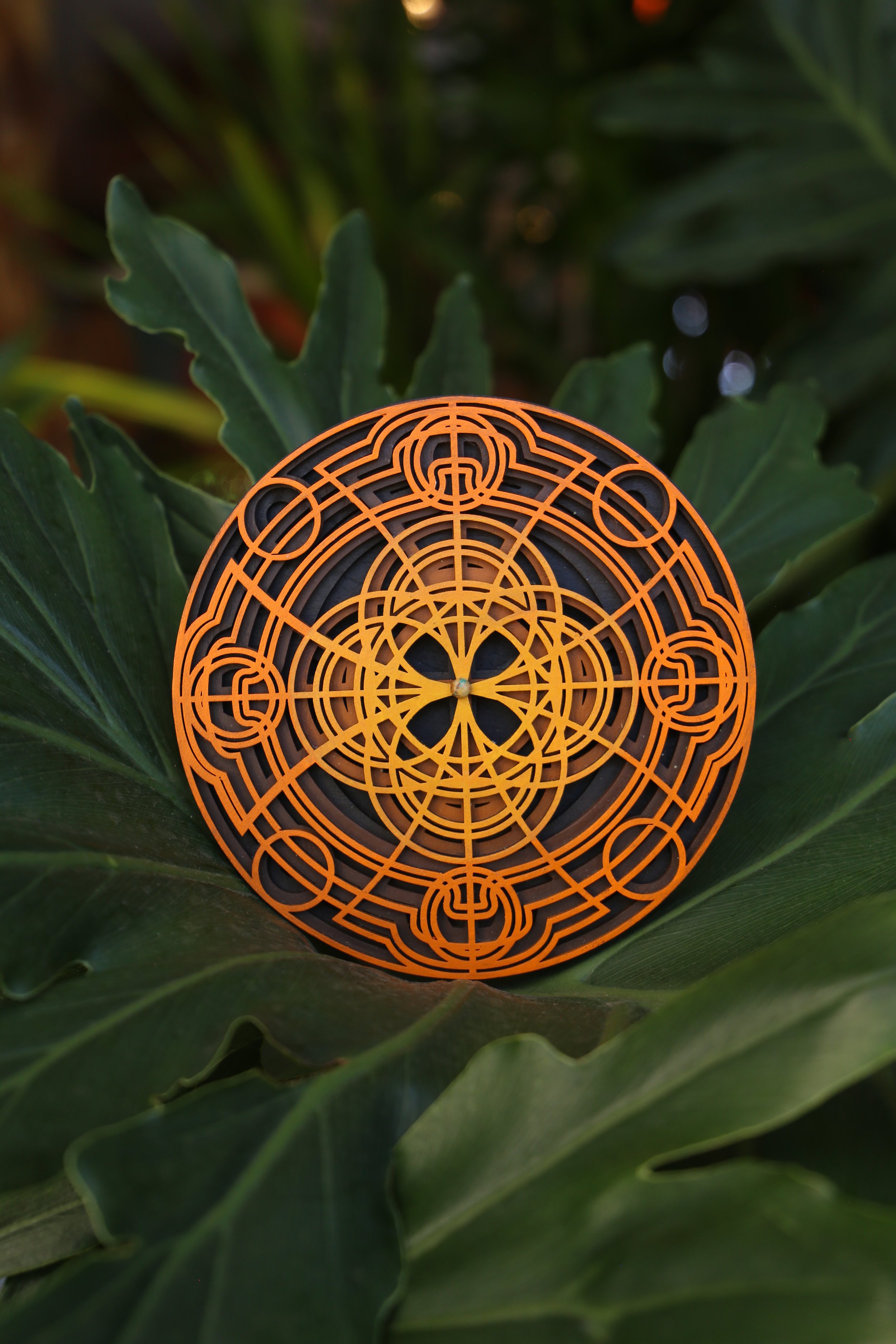 IMG_6331.JPG