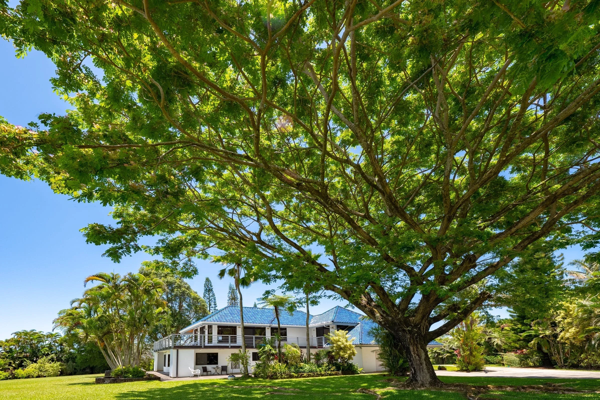 Mature Landscaping