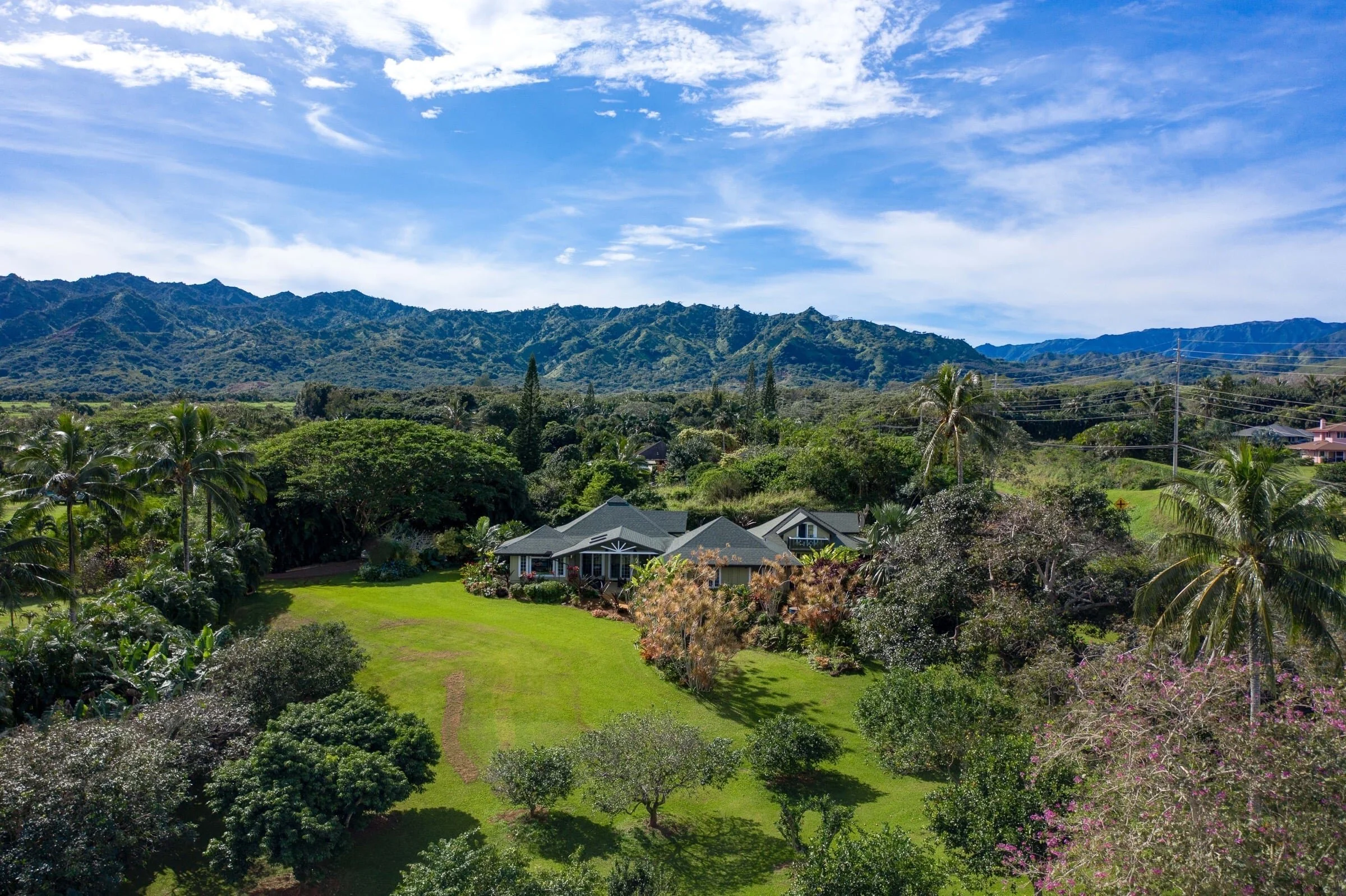 Kauai North Shore Agents Sweet Sugarloaf Pineapples!