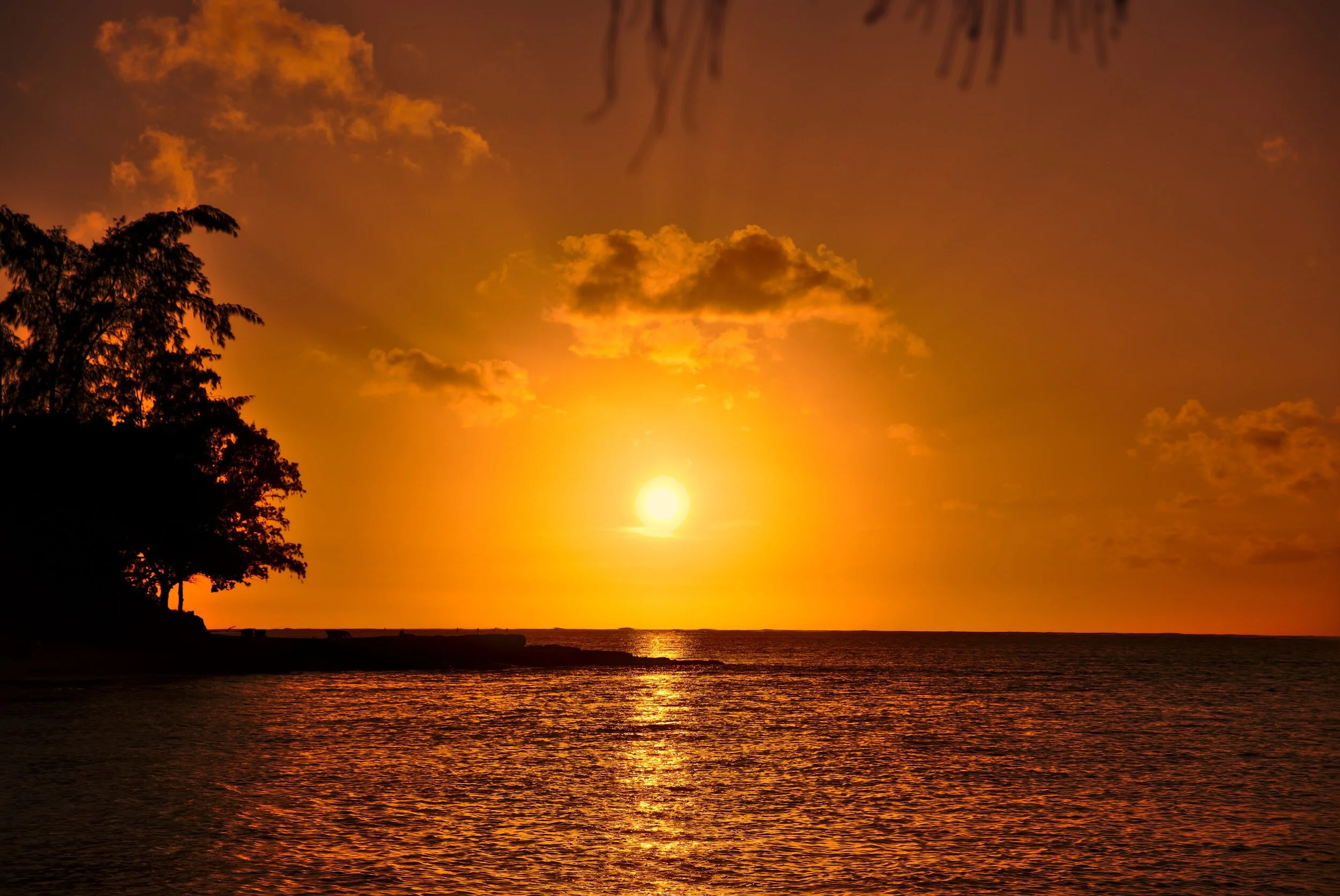 Sunset2 2.jpg