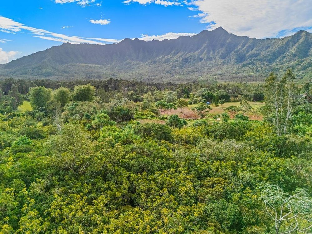 Halaulani Rd. #5, 10-Acres - $2.3M