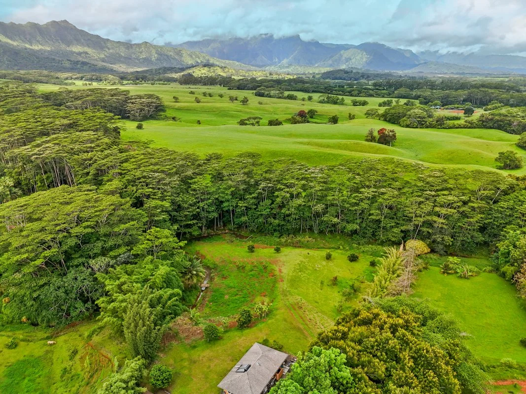 1636-B HULI RD - $1.998M