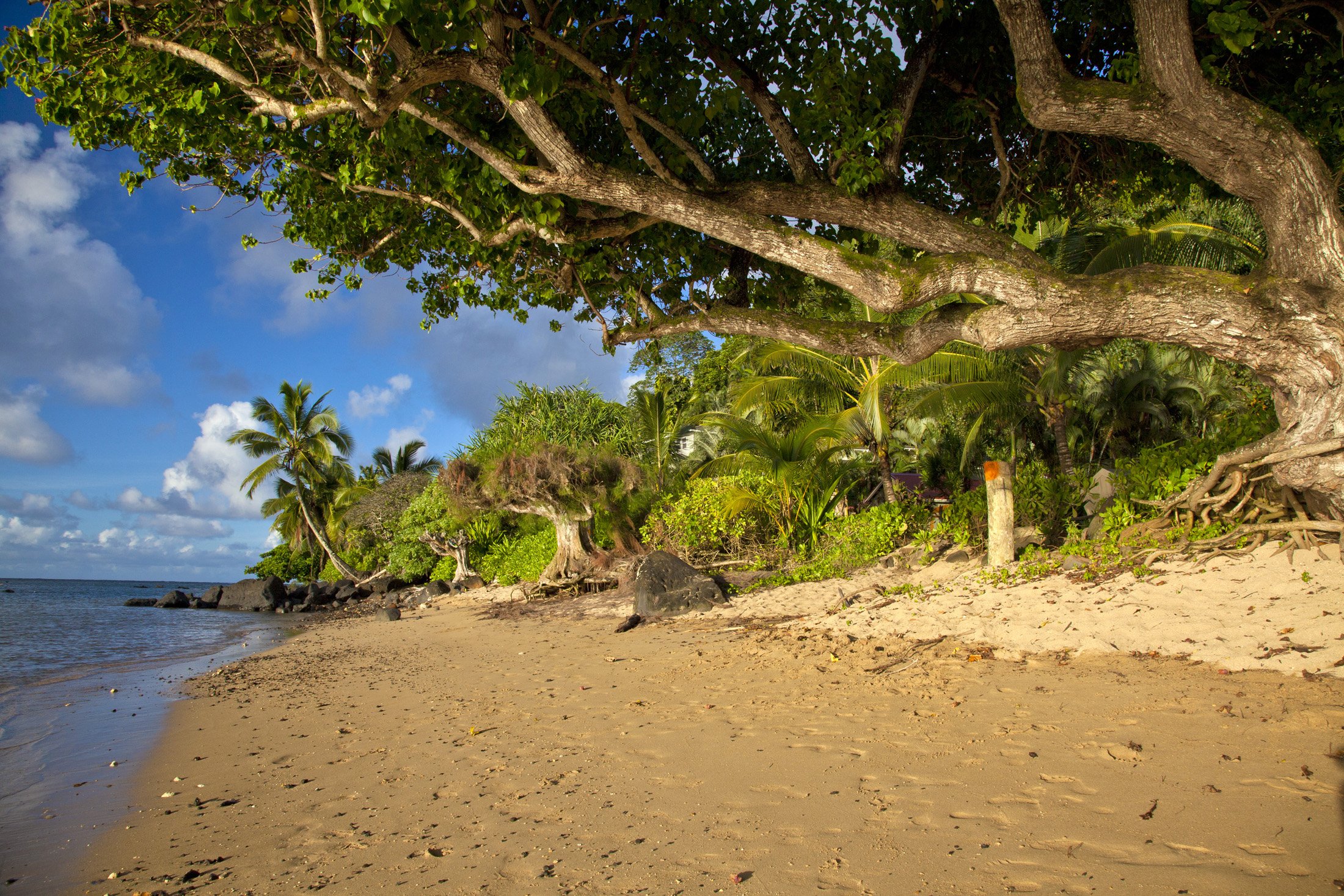 Anini Reef Hale - 8.jpg