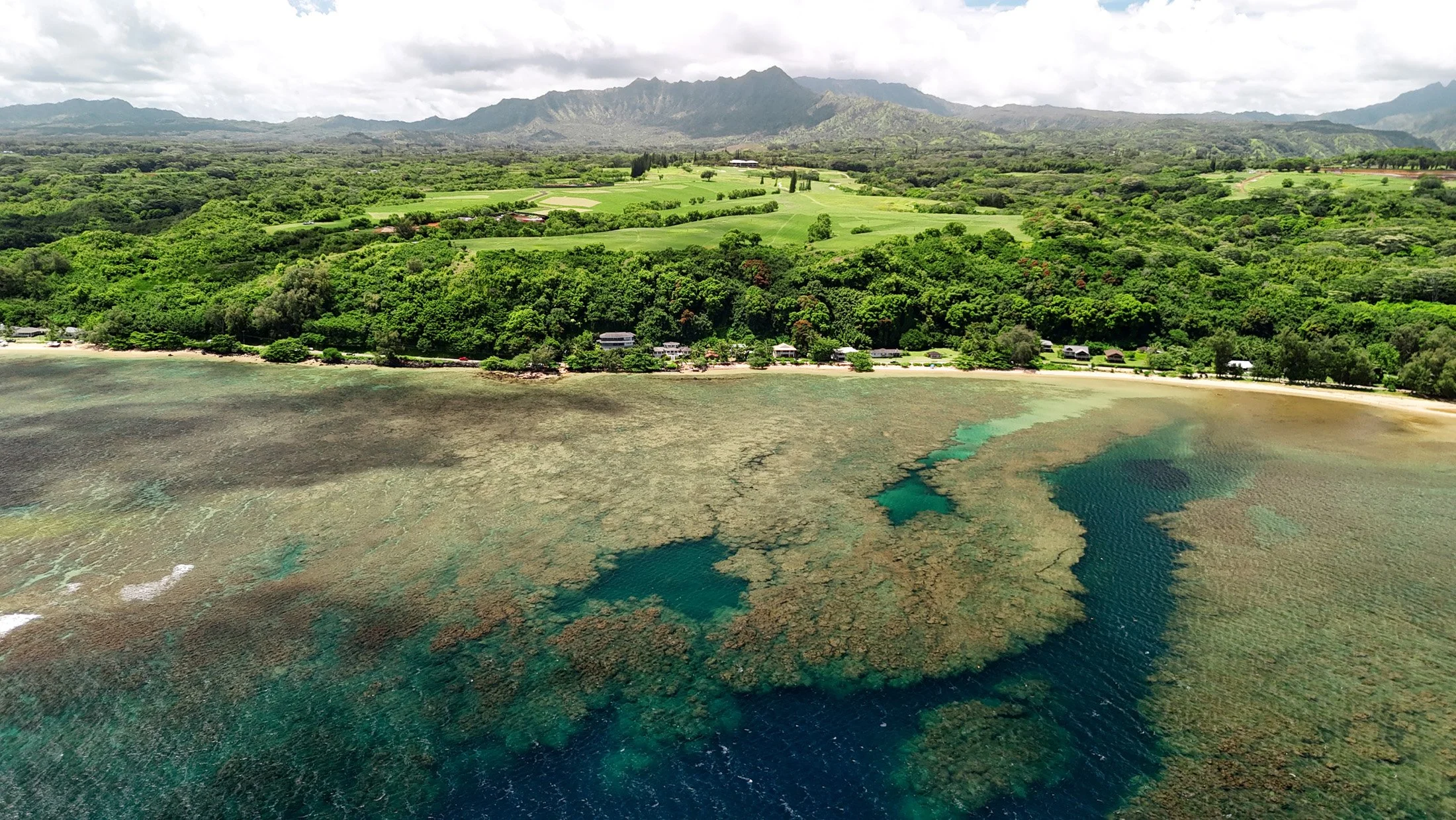Anini Reef Hale - 25.jpg