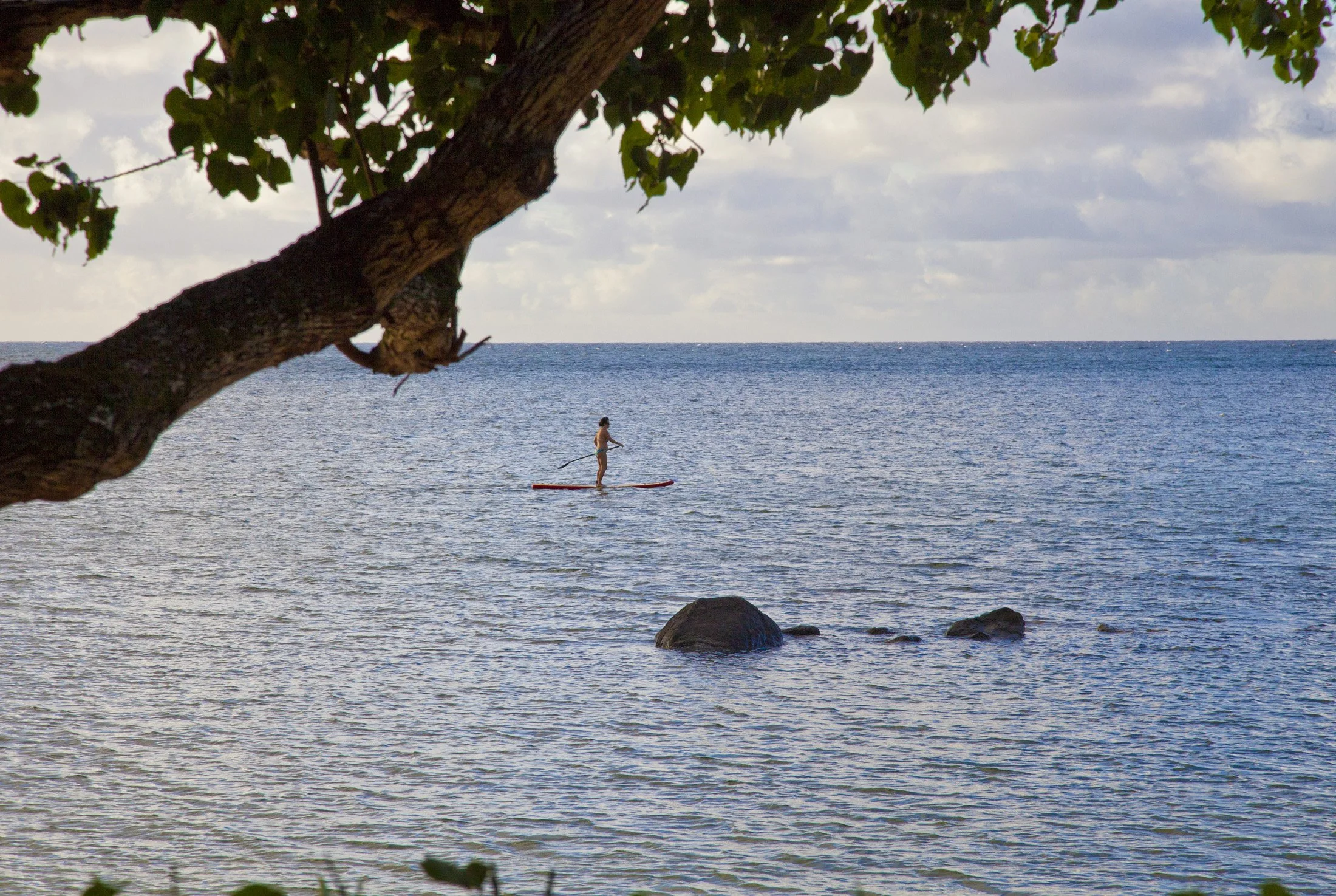 Anini Reef Hale - 6.jpg