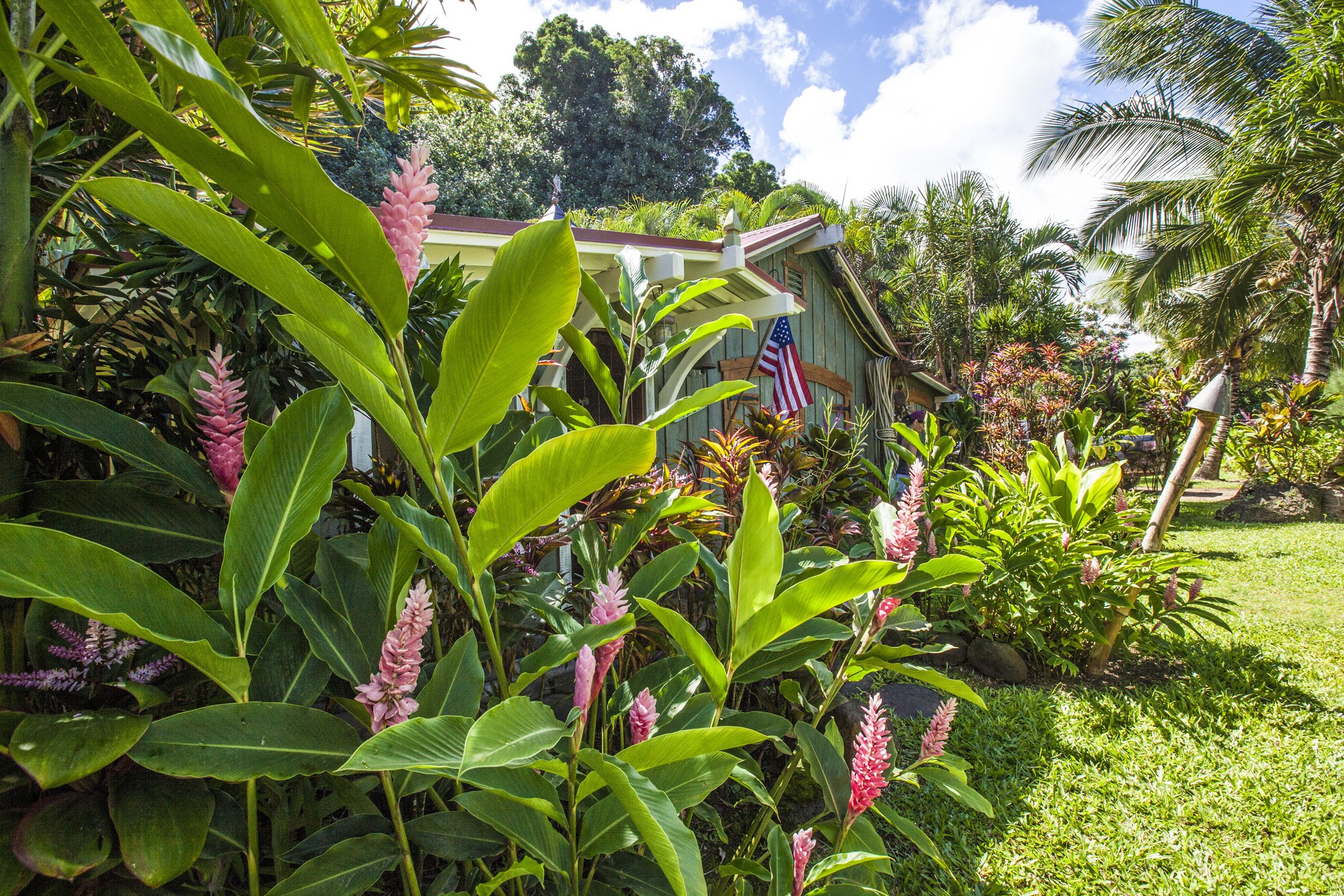 Anini Reef Hale - 12.jpg