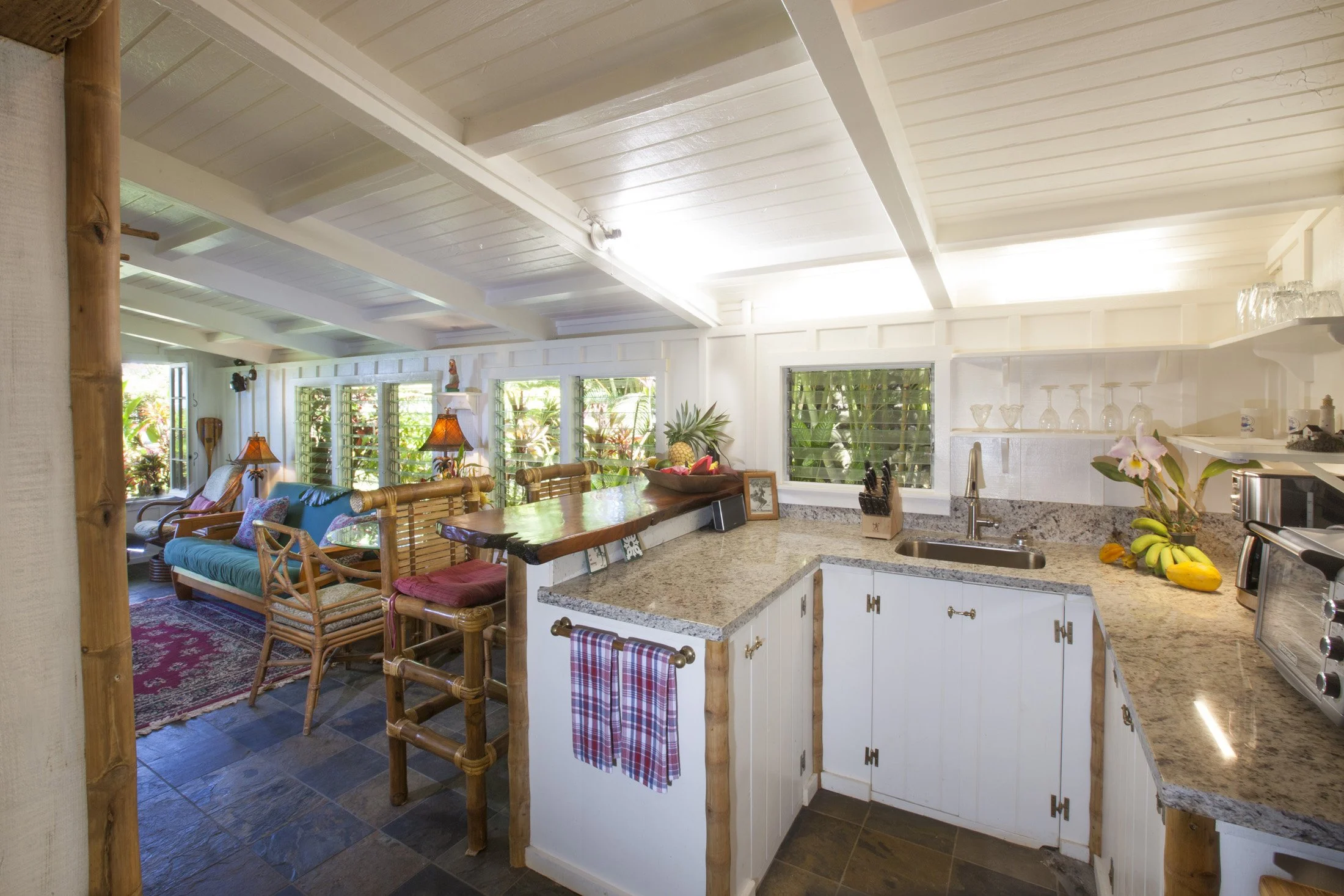 Anini Reef Hale - 19.jpg