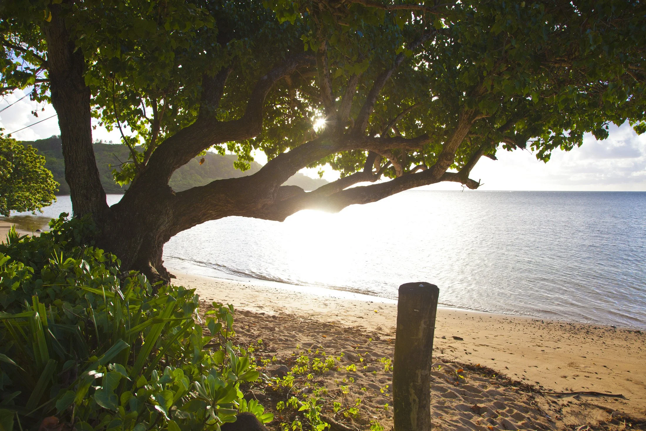 Anini Reef Hale - 7.jpg